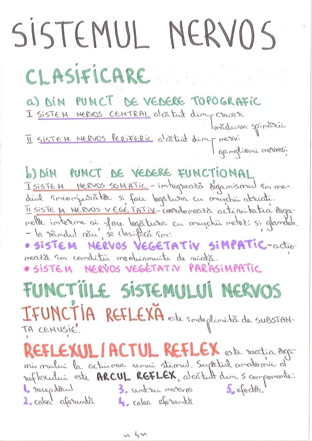 # SEGMENTELE CORPULUÍ
# UMAN
ICAP- alcătuit dim NEUROCRANIU
IVISCEROCRAN
VISCEROCRANIU
IIGAT
III TRUNCHI format din poTORACE sunt cxpati