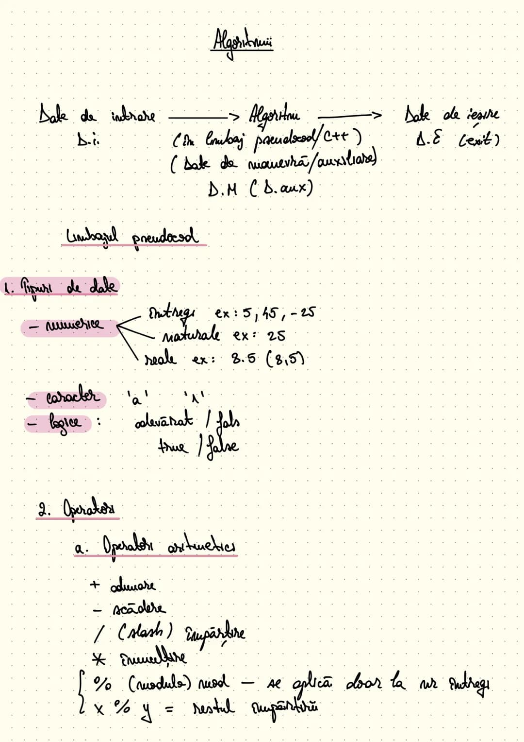 Algoritmui
Sale de intrare -> Algoritou -> Sate de iesire
Δ (im Anubaj pseudocod/C++). Δ.Ε (exit)
(Sate de manevra/auxiliare)
D.M (S. aux