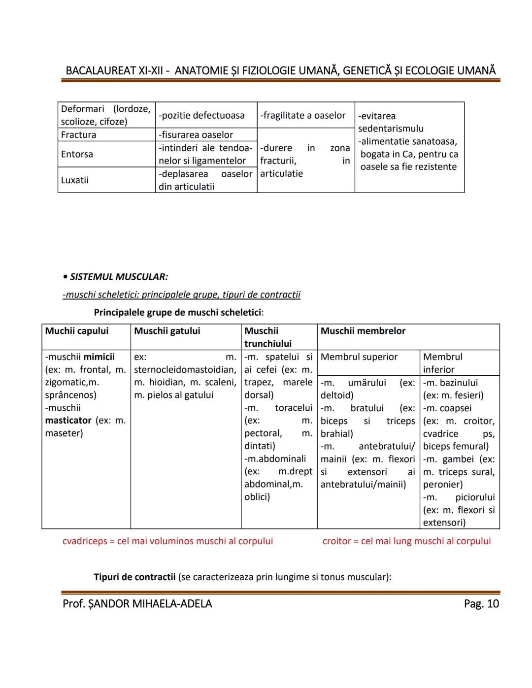 BACALAUREAT XI-XII - ANATOMIE ȘI FIZIOLOGIE UMANĂ, GENETICĂ ȘI ECOLOGIE UMANĂ
1. Alcătuirea corpului uman:
-topografia organelor si a siste