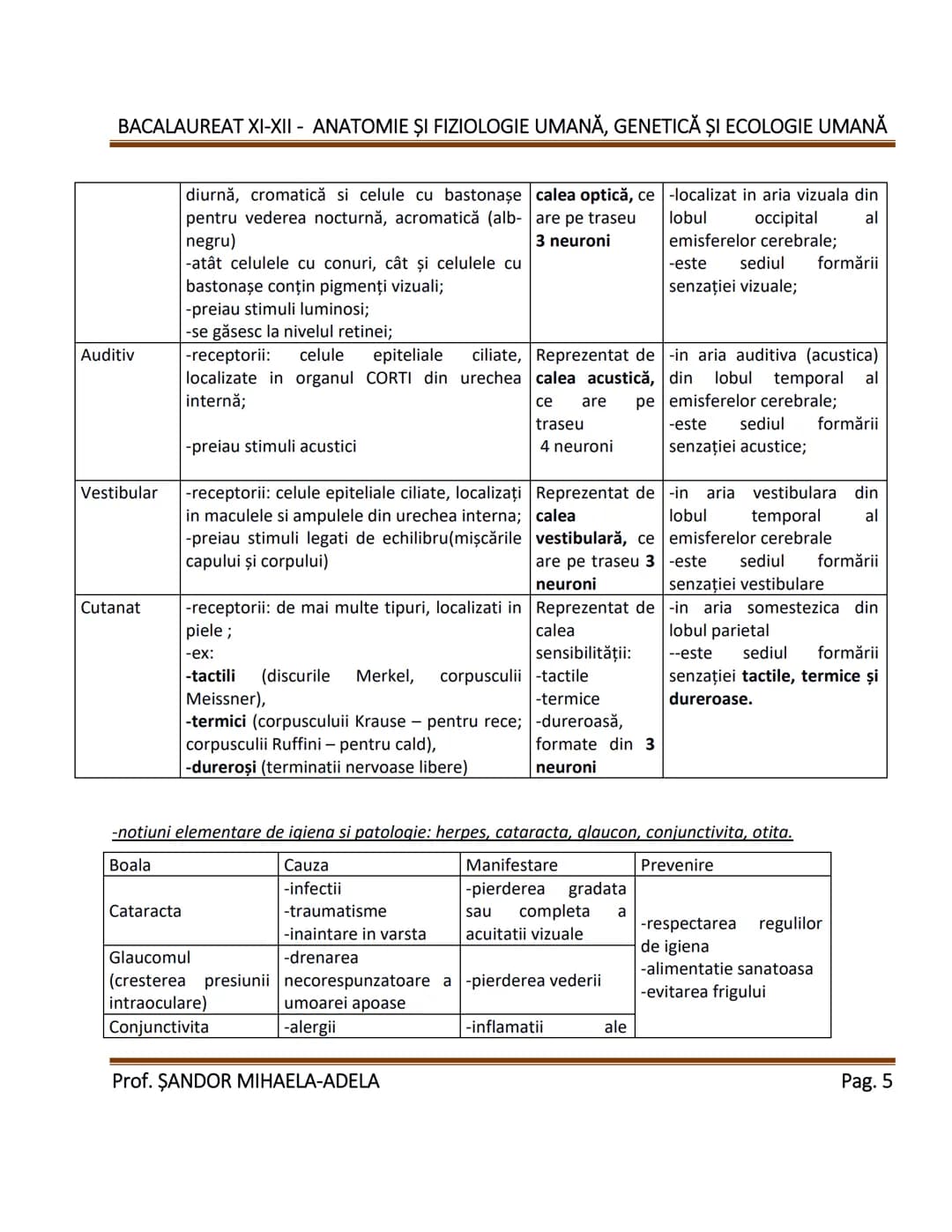 BACALAUREAT XI-XII - ANATOMIE ȘI FIZIOLOGIE UMANĂ, GENETICĂ ȘI ECOLOGIE UMANĂ
1. Alcătuirea corpului uman:
-topografia organelor si a siste