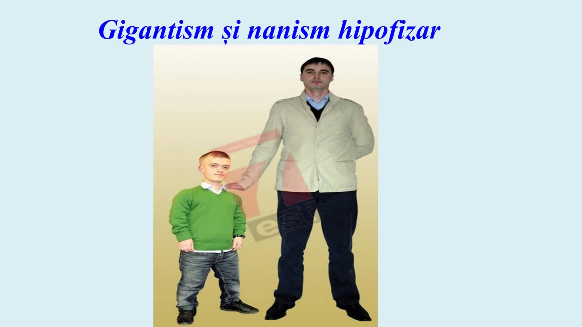 # BACALAUREAT
ANATOMIE ȘI FIZIOLOGIE UMANĂ
SISTEMUL ENDOCRIN # Sistemul endocrin
• Sistemul endocrin reprezintă
totalitatea glandelor end