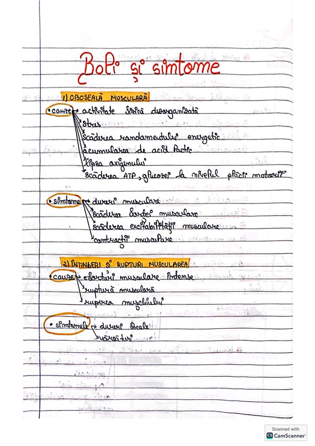 # IV. Sistemur
muscuPar
→dermat din muşchi, care sunt organe active ale miscarri",
acest rop este reaffrat de catre musculatura scheletică-s