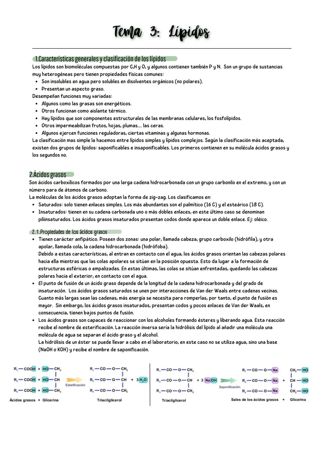 # Tema 1: Bioelementos y biomoléculas
1.Composición química de la materia viva: bioelementos y biomoléculas
La materia, en todos los estad