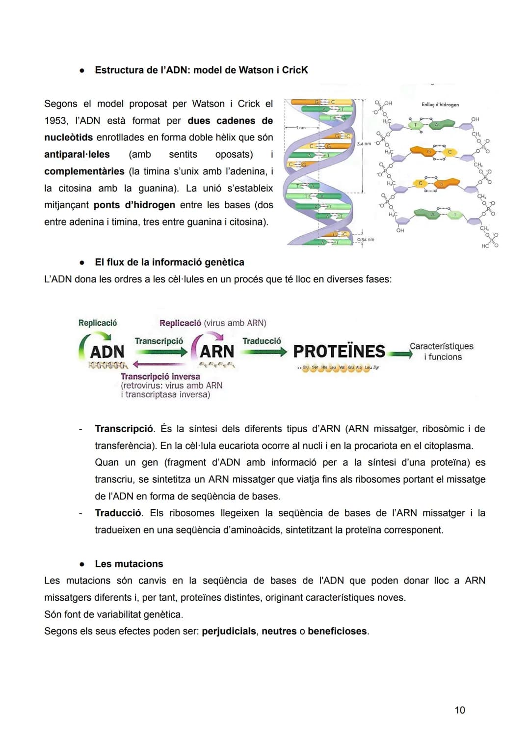 # INTRODUCCIÓ: LA
# UNITAT ESTRUCTURAL I
# FUNCIONAL DE LA VIDA
Sumari:
1. Nivells d'organització dels éssers vius
2. Composició quím