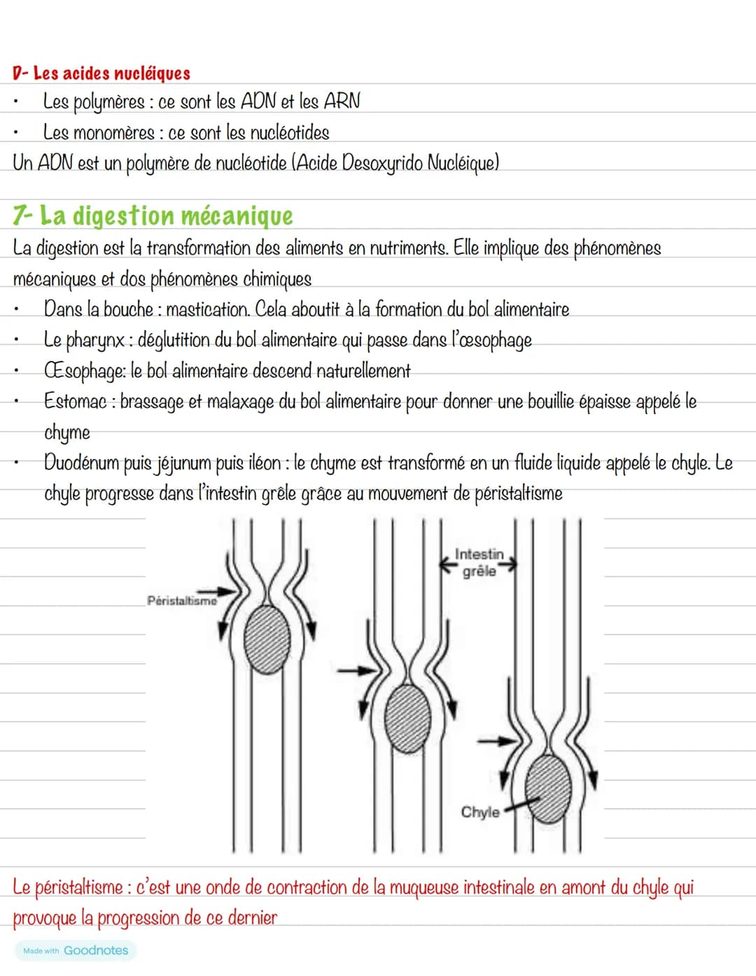 # Partie 3: L'alimentation
## Chapitre 3: Les aliments
1- Les groupes d'aliments
Un aliment est un produit complexe contenant divers types
