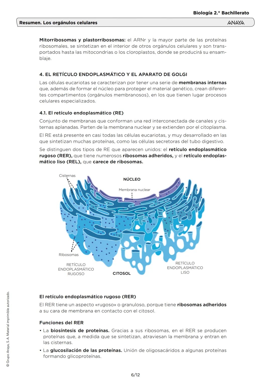 # Resumen. Los orgánulos celulares
Biología 2.º Bachillerato
ANAYA
1. EL CITOPLASMA Y EL CITOSOL
El citoplasma (interior de la célula) es