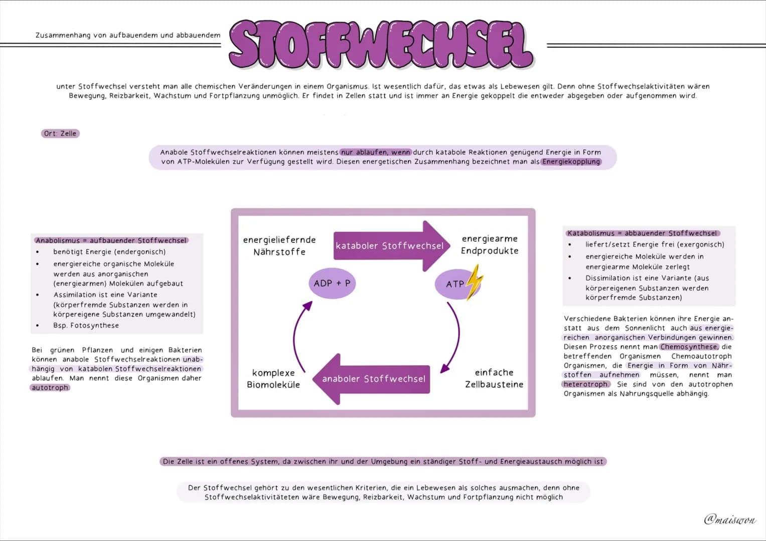 STOFFWECHSEL
- PHYSIOLOGIE # GRUNDKENNTNISSE
## Glossar
| Begriff | Definition