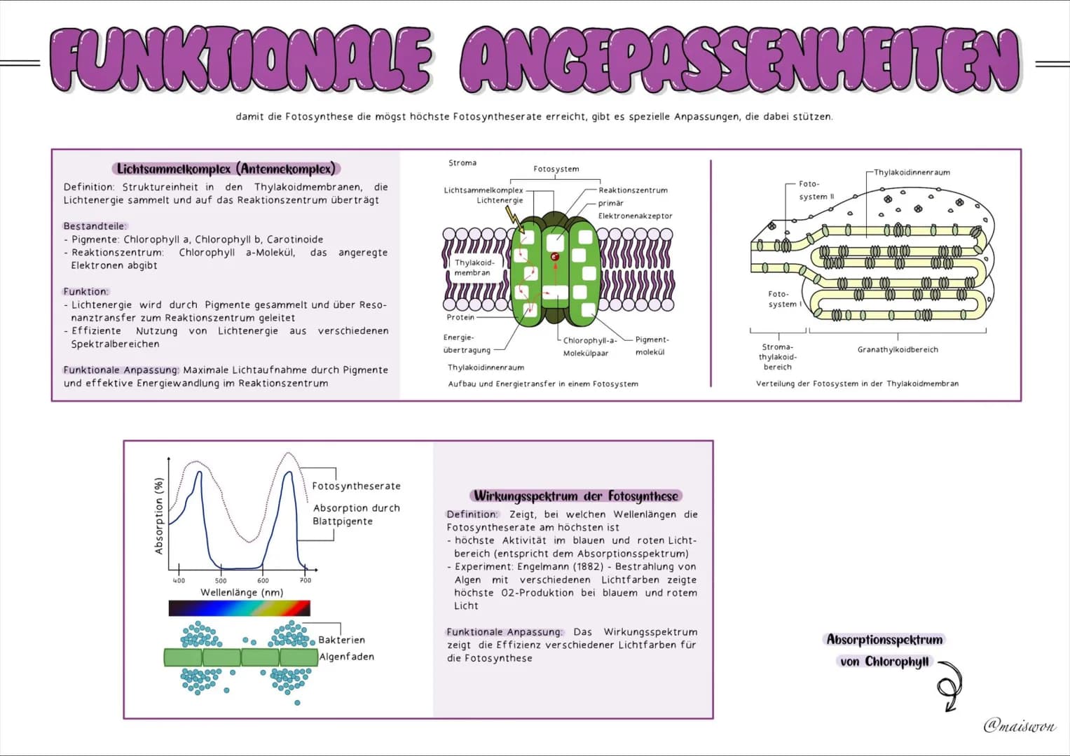 STOFFWECHSEL
- PHYSIOLOGIE # GRUNDKENNTNISSE
## Glossar
| Begriff | Definition