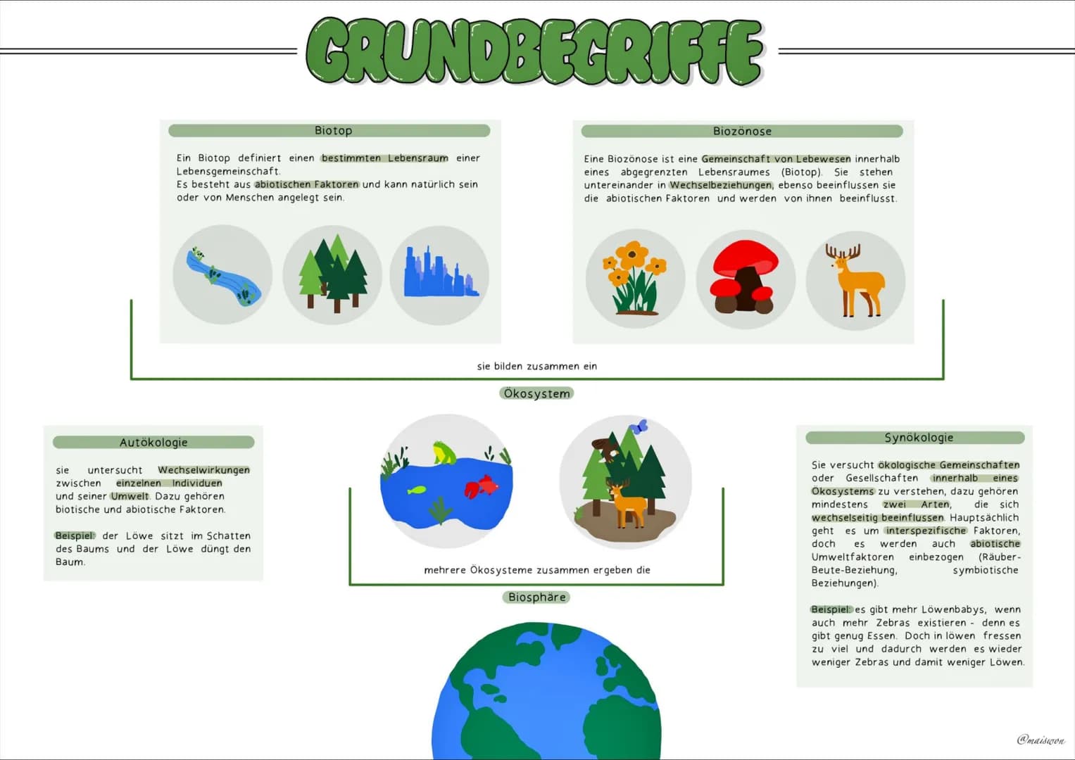 ÖKOLOGIE # GRUNDBEGRIFFE
Biotop
Ein Biotop definiert einen bestimmten Lebensraum einer
Lebensgemeinschaft.
Es besteht aus abiotischen Fakt