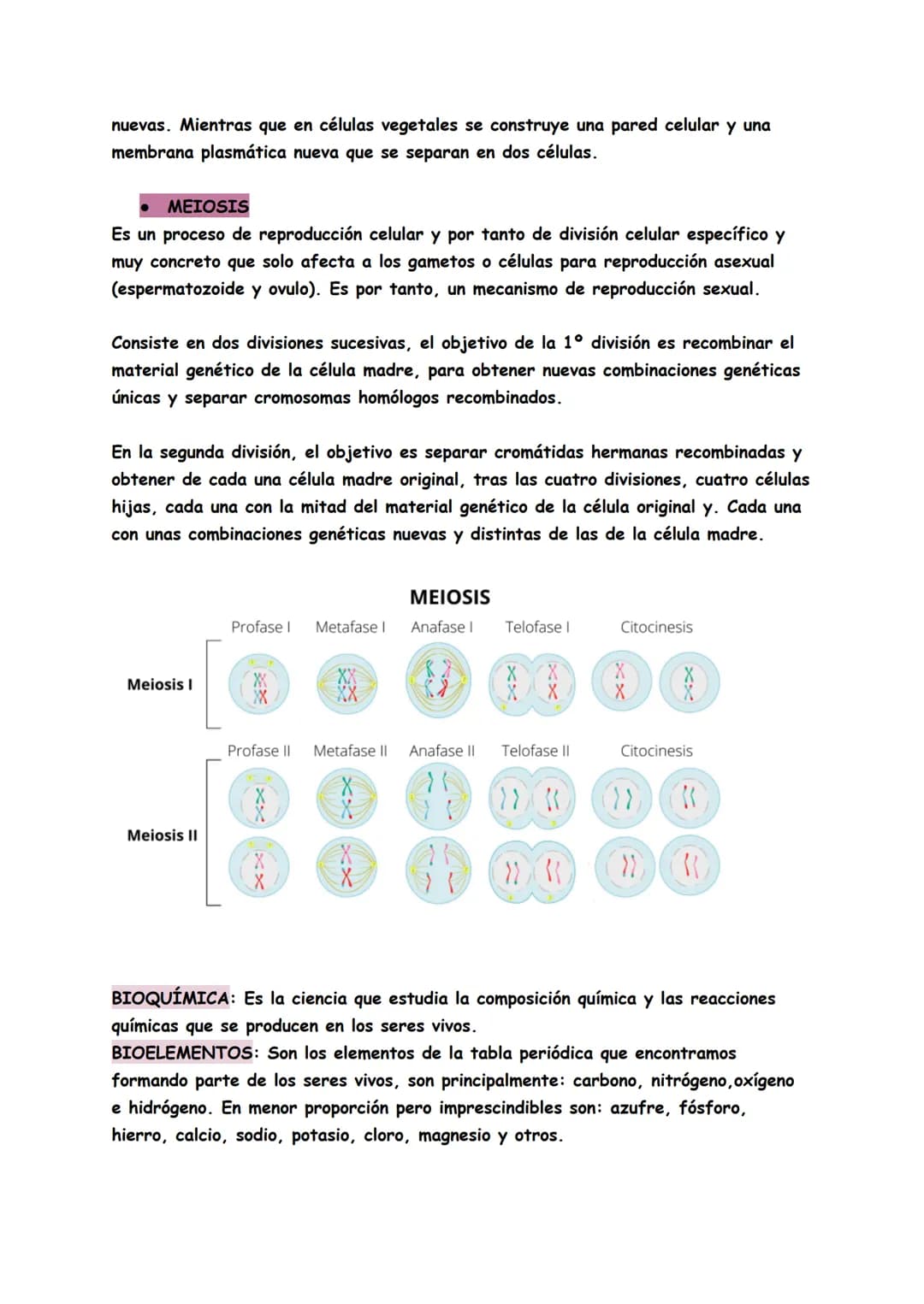 # TEMAS 4/5: BIOQUÍMICA
Genética: Es la ciencia que estudia la herencia de caracteres es decir, cómo se
transmite la información para const