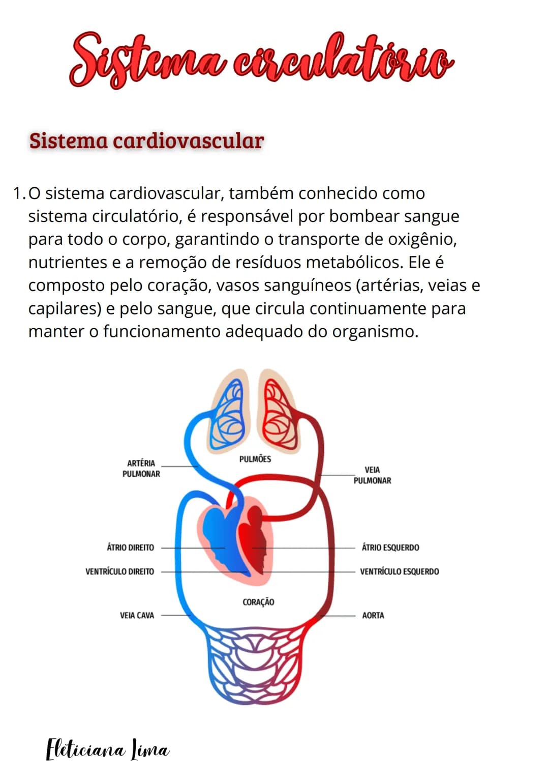 # Sistema circulatório
Sistema cardiovascular
1.0 sistema cardiovascular, também conhecido como
sistema circulatório, é responsável por bo