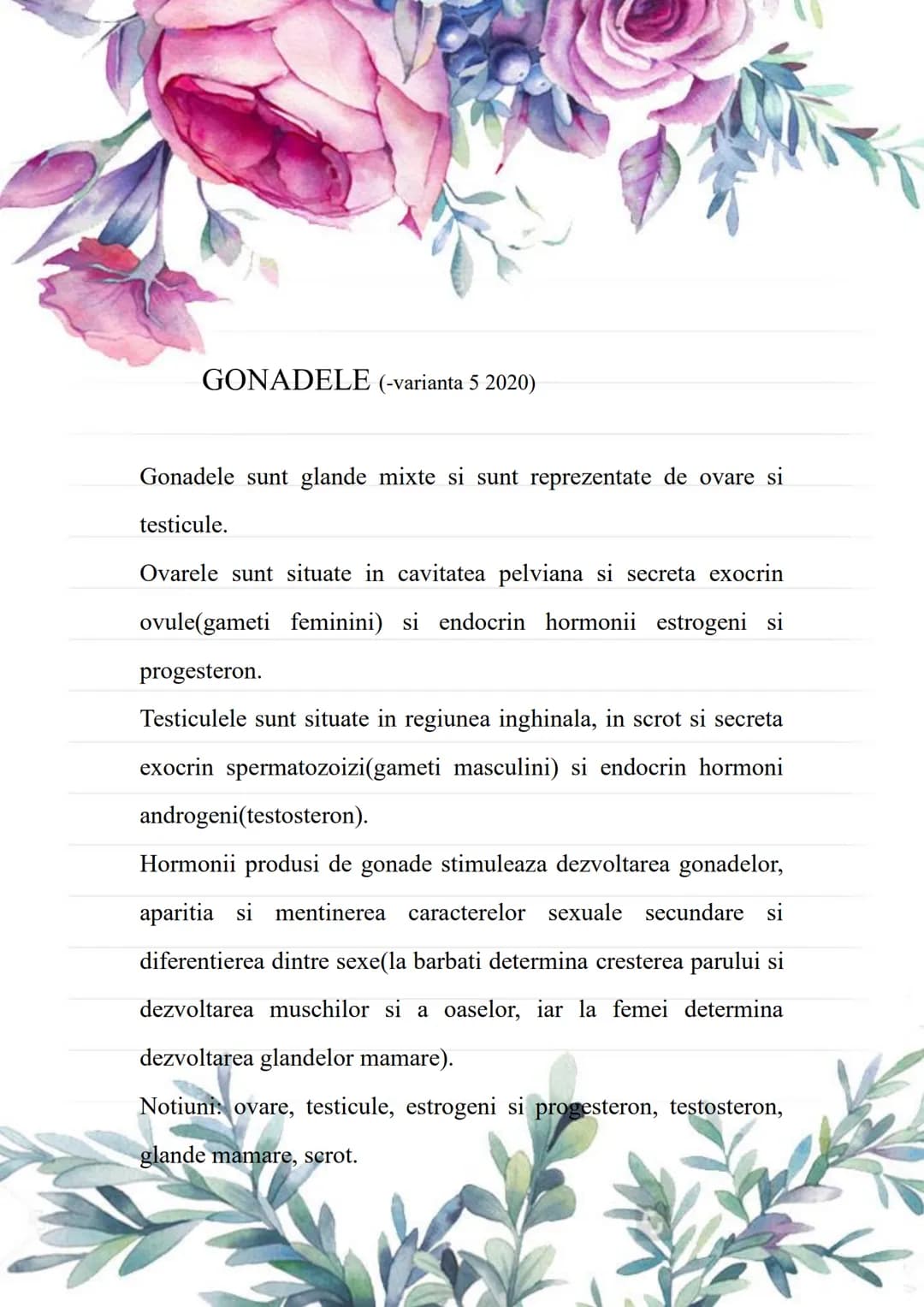BACALAUREAT
SUBIII.MINI-ESEURI ANATOMIE
Cursuri de 10 Anatomie
Alexandra Nedelea 0730957398;
cursuride10anatomie@gmail.com
GLUCAGONUL S