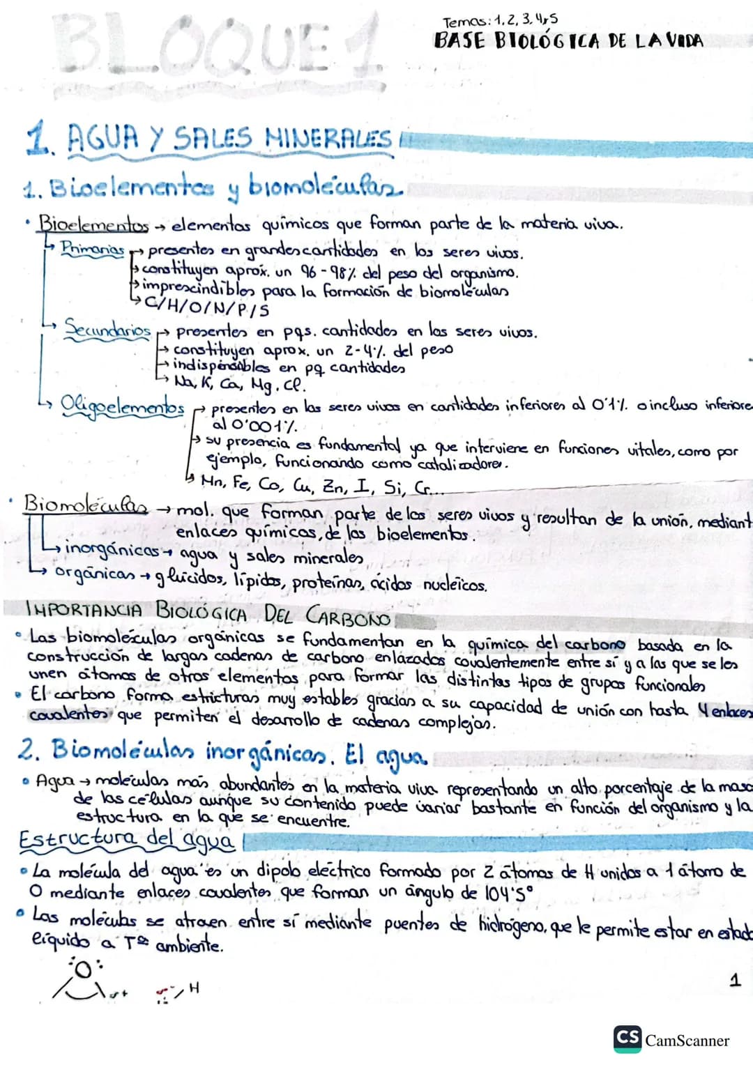 BLOQUE 1
Temas: 1, 2, 3, 4,5
BASE BIOLOGICA DE LA VIDA
1. AGUA Y SALES MINERALES
1. Bioelementas y biomoléculas
• Bioelementos elementos