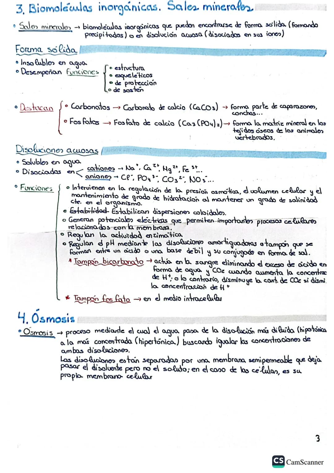 BLOQUE 1
Temas: 1, 2, 3, 4,5
BASE BIOLOGICA DE LA VIDA
1. AGUA Y SALES MINERALES
1. Bioelementas y biomoléculas
• Bioelementos elementos