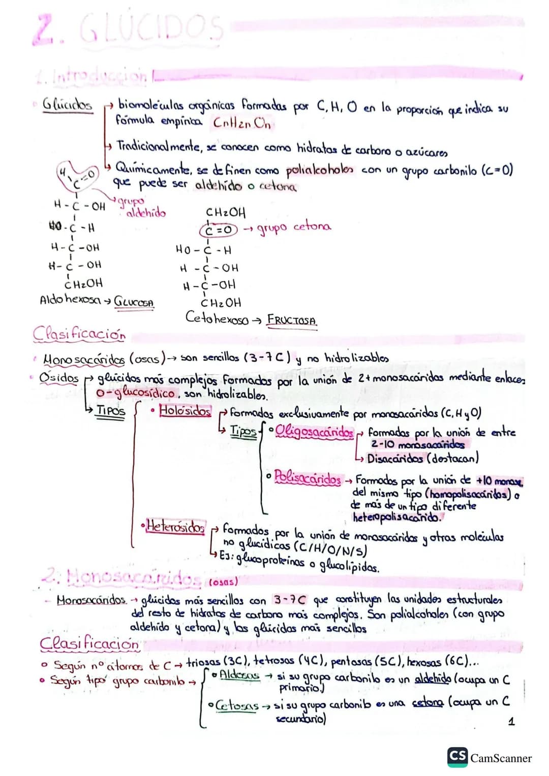 BLOQUE 1
Temas: 1, 2, 3, 4,5
BASE BIOLOGICA DE LA VIDA
1. AGUA Y SALES MINERALES
1. Bioelementas y biomoléculas
• Bioelementos elementos