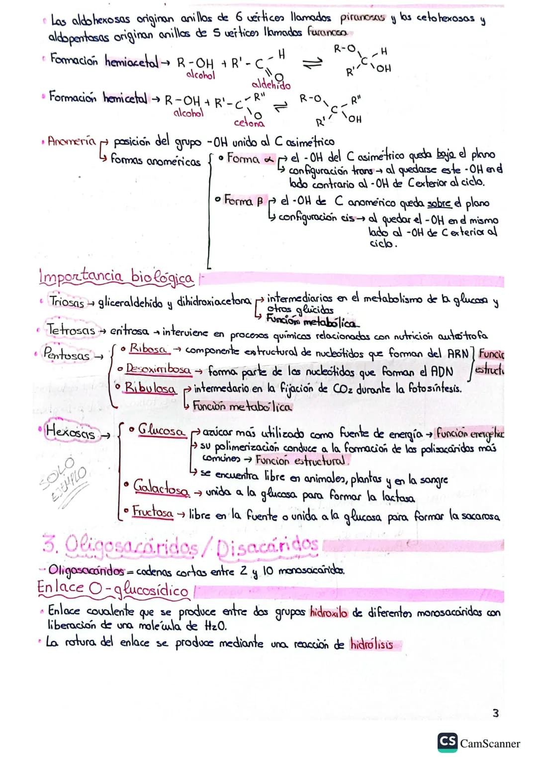 BLOQUE 1
Temas: 1, 2, 3, 4,5
BASE BIOLOGICA DE LA VIDA
1. AGUA Y SALES MINERALES
1. Bioelementas y biomoléculas
• Bioelementos elementos