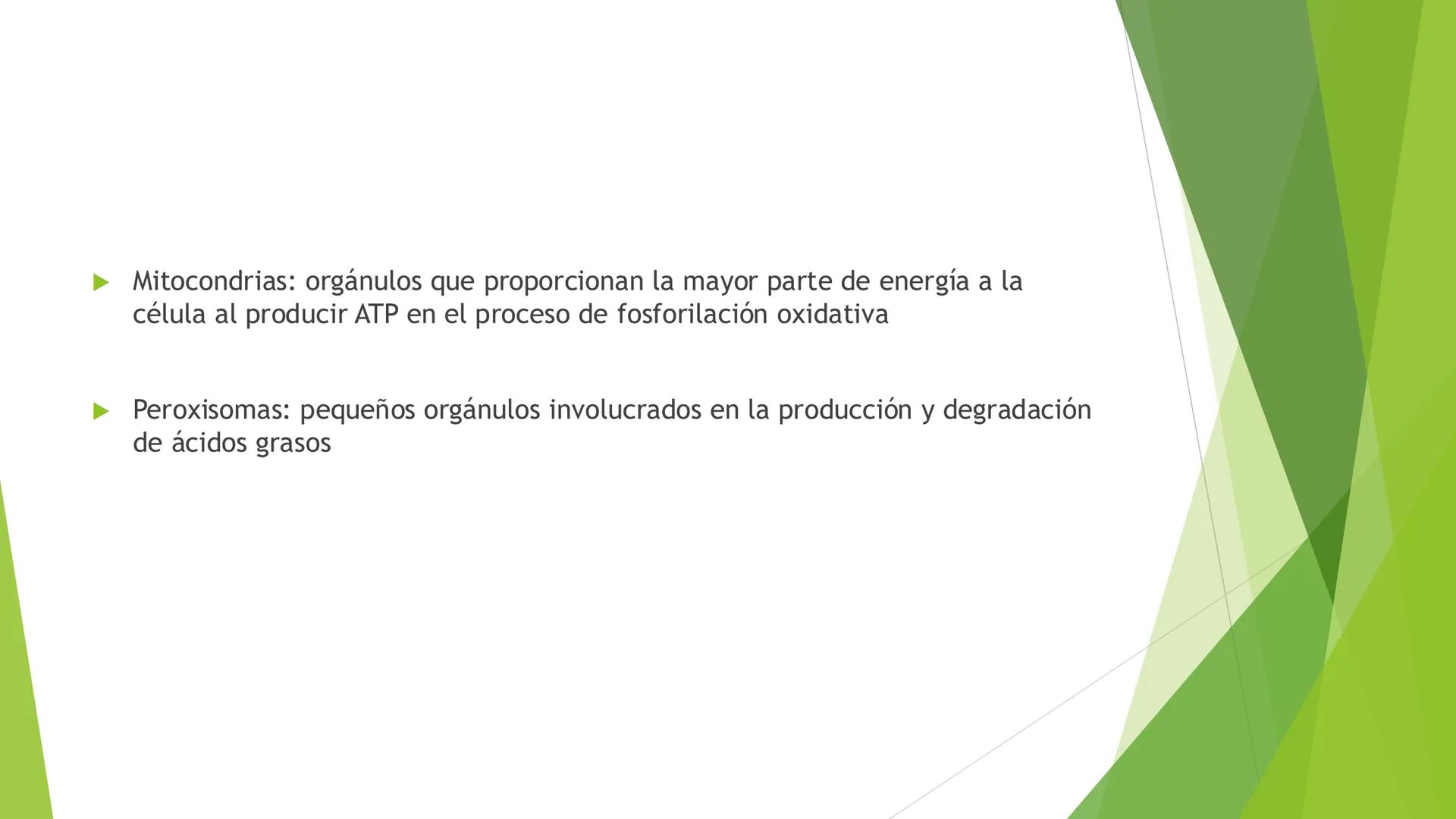 # Morfología celular
# División celular # CÉLULA
Las células son las unidades estructurales y funcionales básicas de todos los
organismos