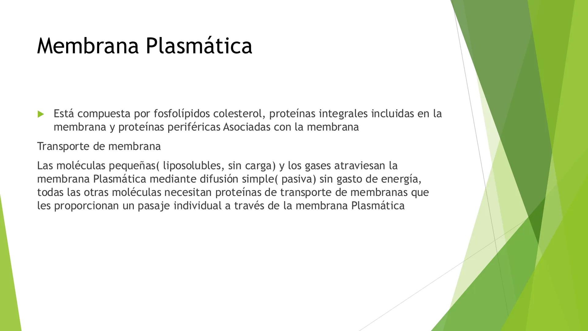 # Morfología celular
# División celular # CÉLULA
Las células son las unidades estructurales y funcionales básicas de todos los
organismos