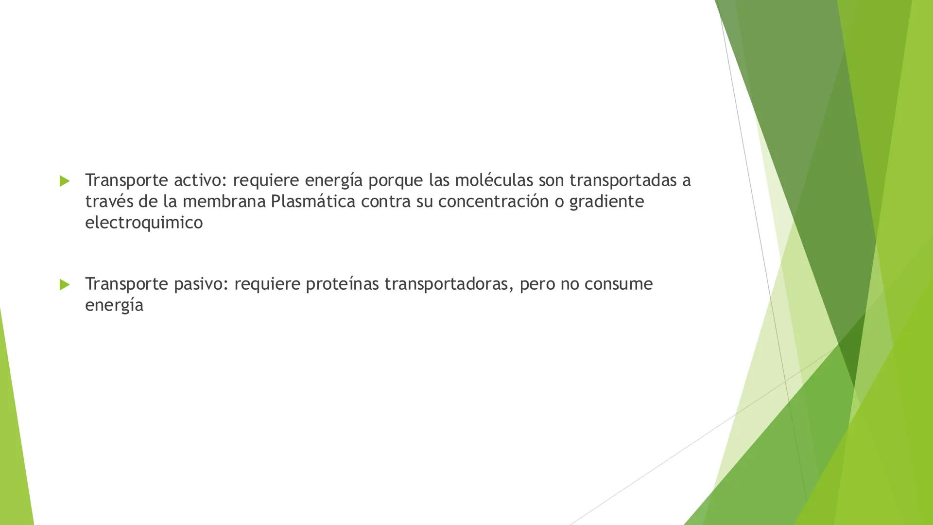 # Morfología celular
# División celular # CÉLULA
Las células son las unidades estructurales y funcionales básicas de todos los
organismos