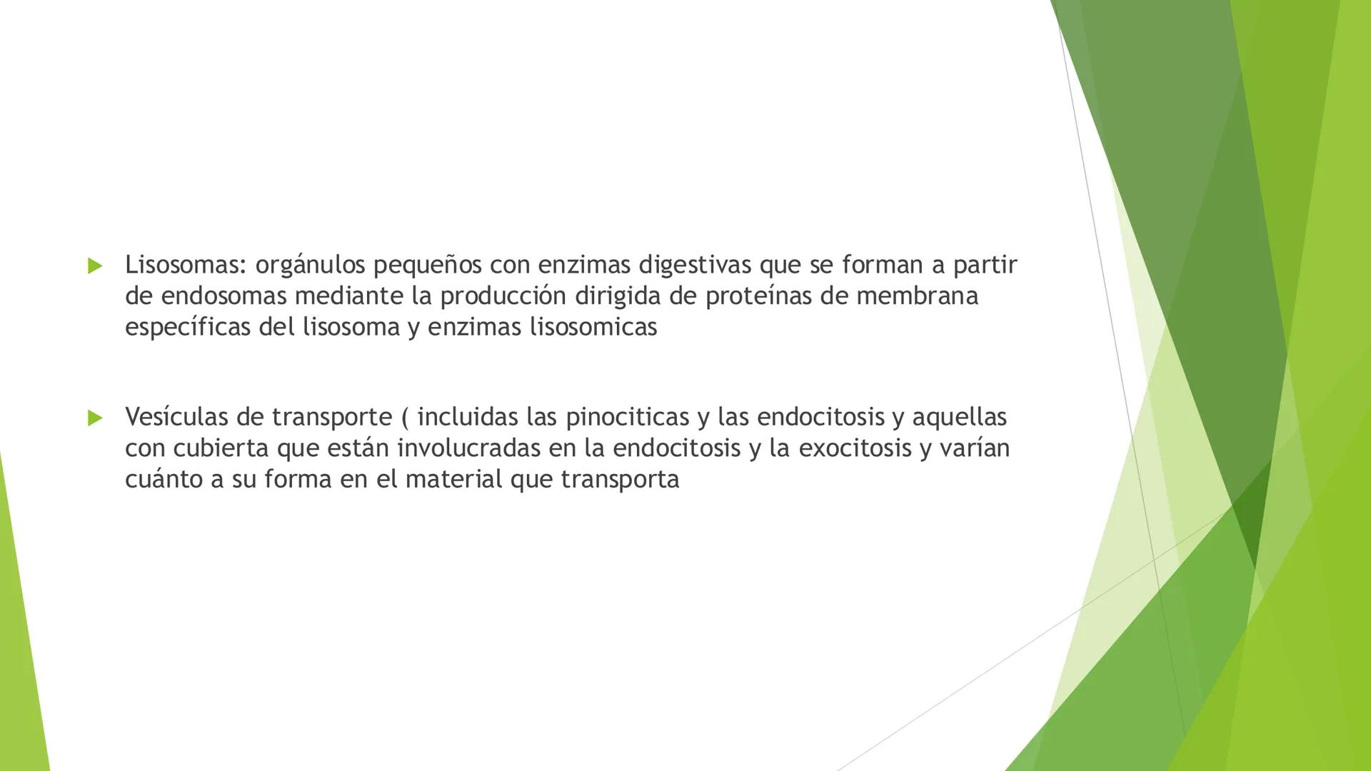 # Morfología celular
# División celular # CÉLULA
Las células son las unidades estructurales y funcionales básicas de todos los
organismos