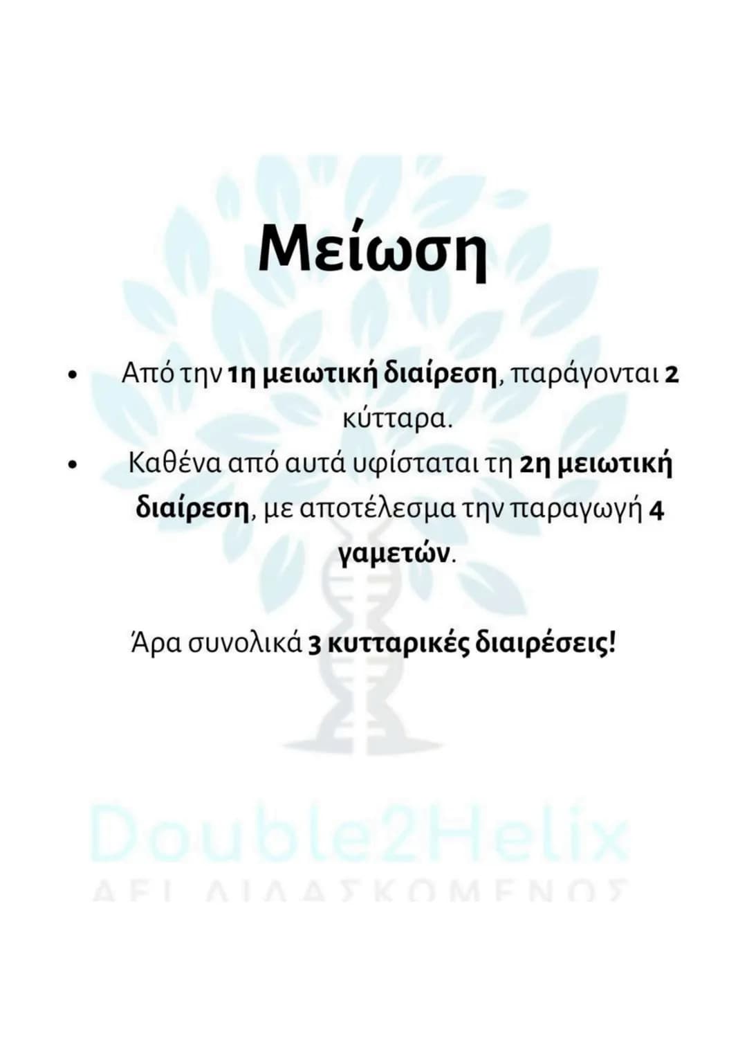 # Μείωση
* γίνεται σε μια ειδική κατηγορία διπλοειδών
κυττάρων (άωρα γεννητικά κύτταρα).
* μετά τον αυτοδιπλασιασμό του DNA γίνονται δύ