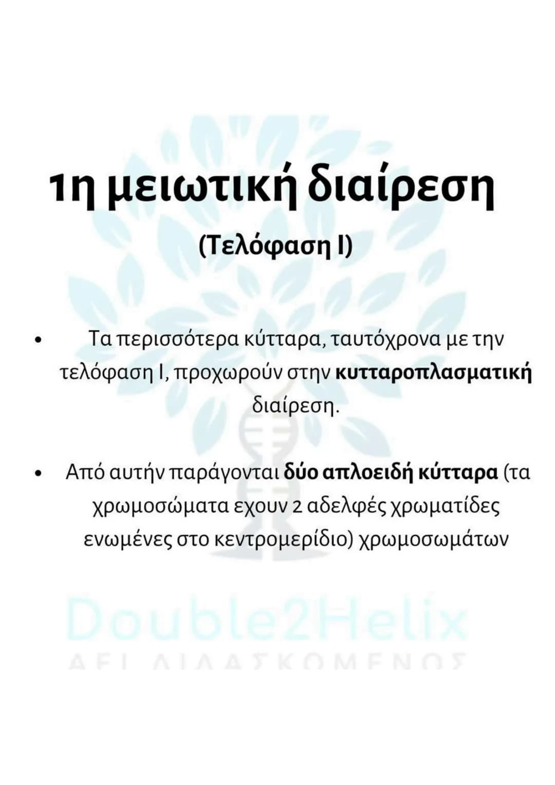 # Μείωση
* γίνεται σε μια ειδική κατηγορία διπλοειδών
κυττάρων (άωρα γεννητικά κύτταρα).
* μετά τον αυτοδιπλασιασμό του DNA γίνονται δύ