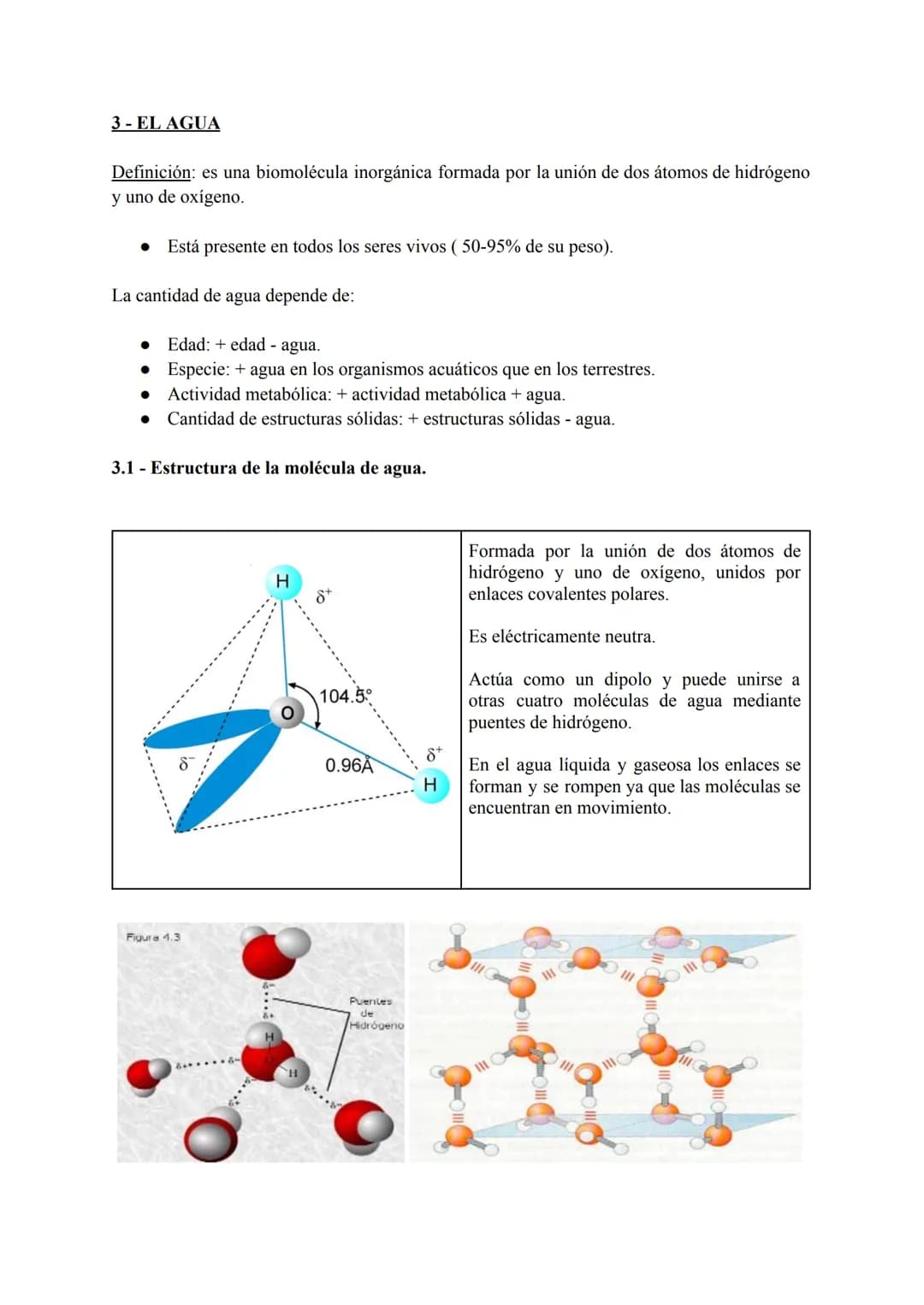 # TEMA 1: BIOMOLÉCULAS
# INORGÁNICAS
CONTENIDOS
1. Bioelementos.
1.1. Propiedades de los bioelementos.
1.2. Clasificación de los bioelemento