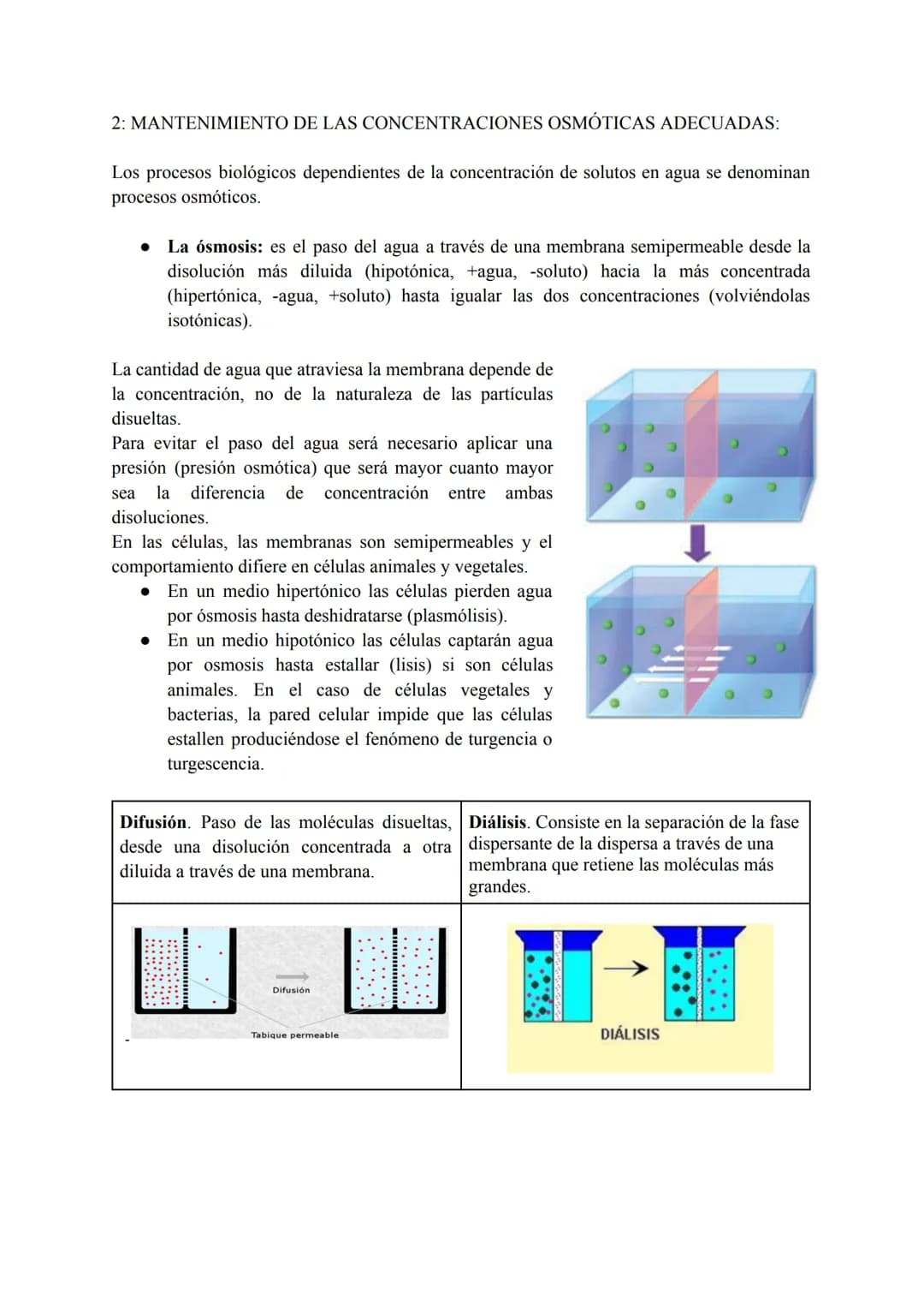 # TEMA 1: BIOMOLÉCULAS
# INORGÁNICAS
CONTENIDOS
1. Bioelementos.
1.1. Propiedades de los bioelementos.
1.2. Clasificación de los bioelemento