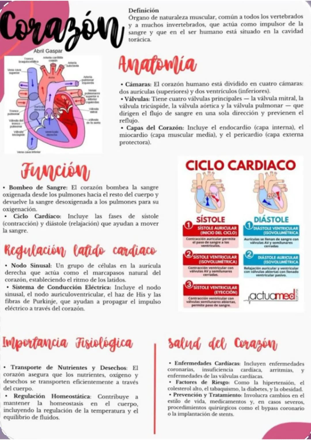ENFERMERÍA
@au.lizeth # EI CORAZÓN
EL CORAZÓN ES UN ÓRGANO DEL TAMAÑO APROXIMADO DE
UN PUÑO.
ESTÁ COMPUESTO DE TEJIDO MUSCULAR Y BOMBEA
SA