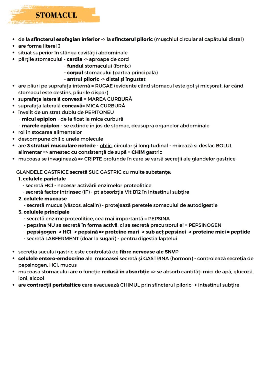 # SIST. DIGESTIV
Are 2 FUNCŢII:
- descompunerea moleculelor mari din alimente în molecule mici
- absorbție molecule mici, minerale, apă
For