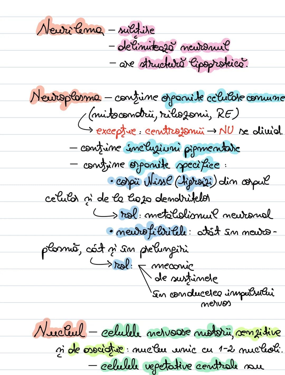 A. Neuronul
= unitate morfofuncţională a SN.
- forma = variabilă: - stelata (coarnele anterioare)
MS
sferică sau ovalară (în gan-
piramida