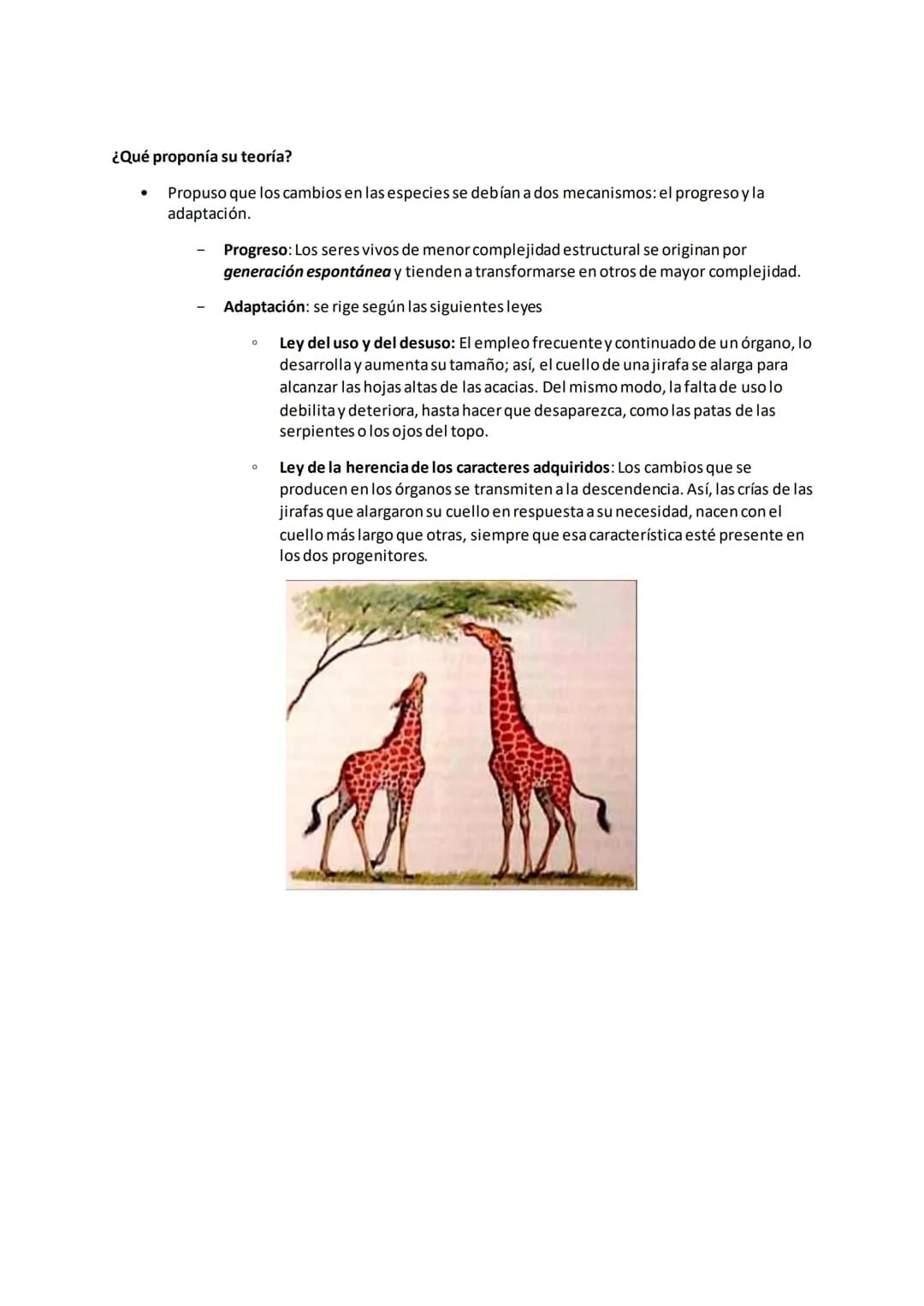 Evolución de los seres vivos
¿Qué es evolución?
Cambio o transformación gradual de algo.
¿Qué será evolución biológica?
La evolución bio