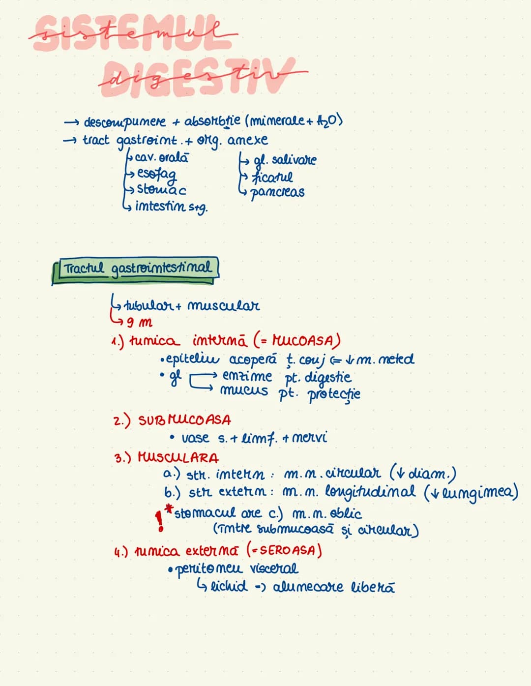 # sistemul
# digestiv
→ descompumere + absorbtie (mimerale + $H_20$)
→tract gastroint. + ong. amexe
cav. orala
esofag
ficatul
Stom