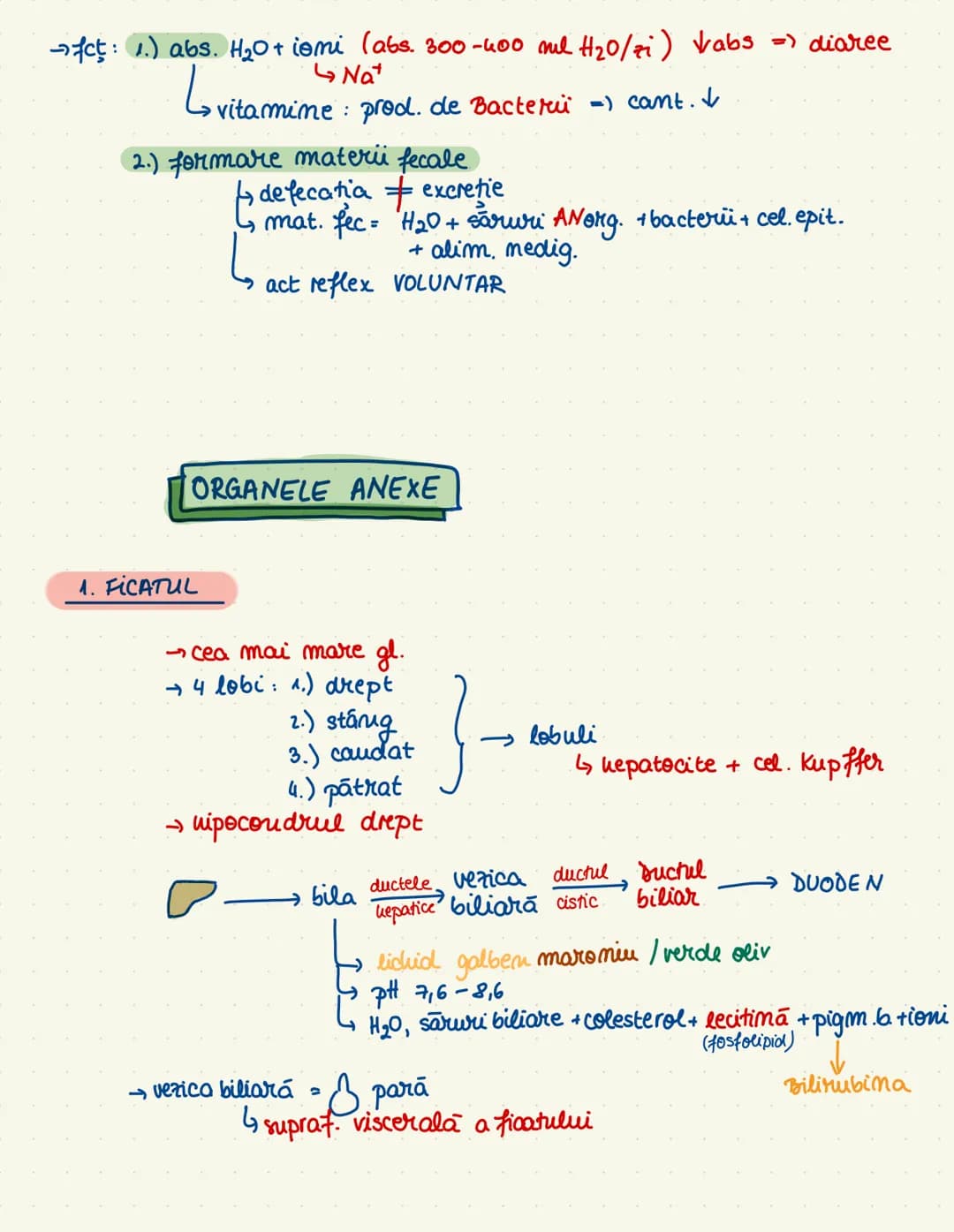 # sistemul
# digestiv
→ descompumere + absorbtie (mimerale + $H_20$)
→tract gastroint. + ong. amexe
cav. orala
esofag
ficatul
Stom