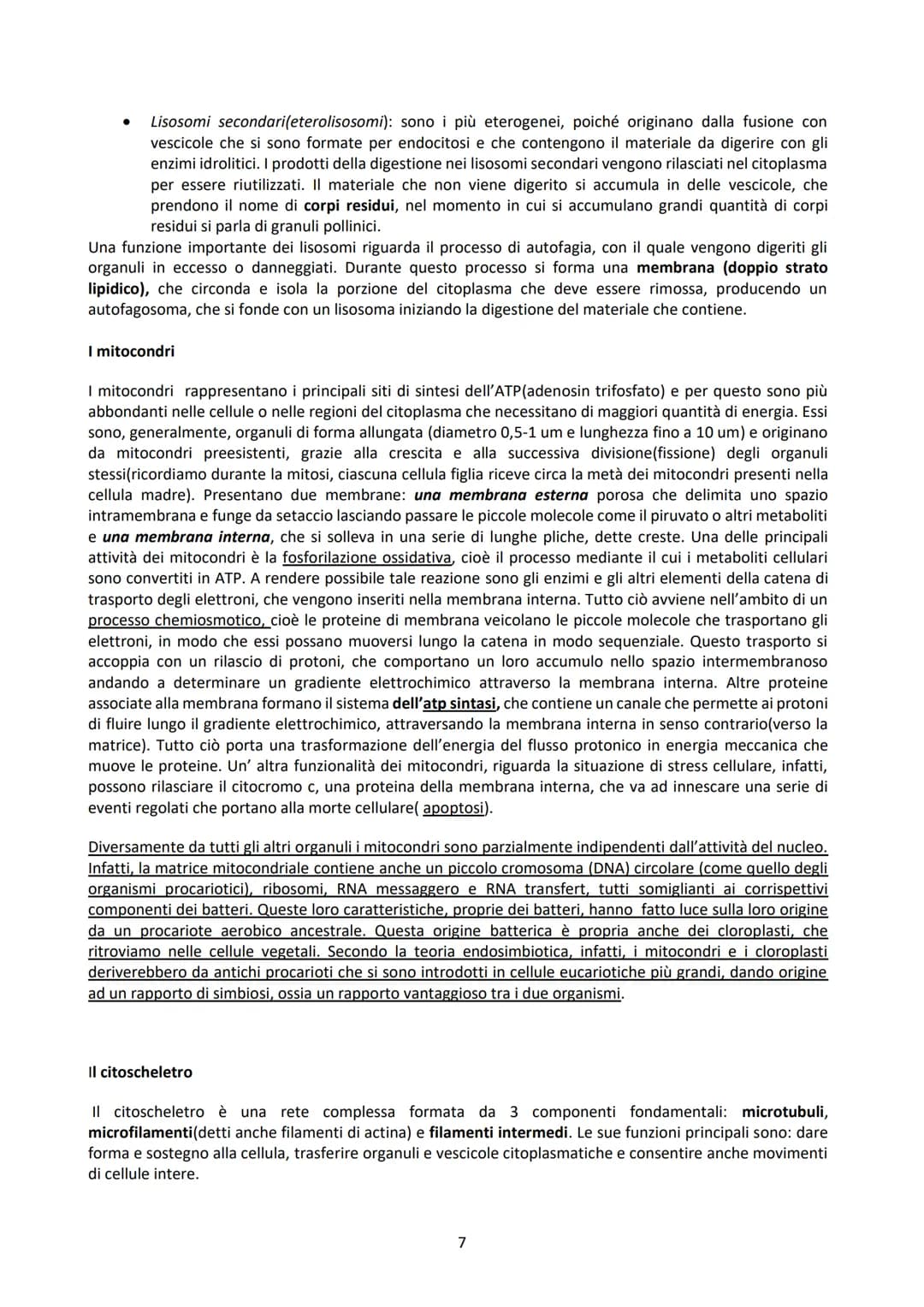 L'ISTOLOGIA E I SUOI METODI DI STUDIO
L'istologia studia i tessuti corporei e come questi si organizzano a formare gli organi. Questi tessut