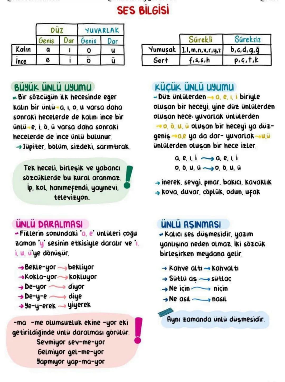 # SES BİLGİSİ
| | DÜZ | YUVARLAK | | |
| :---- | :----- | :------- | :---- | :------ |
| | Geniş | Dar | Gen