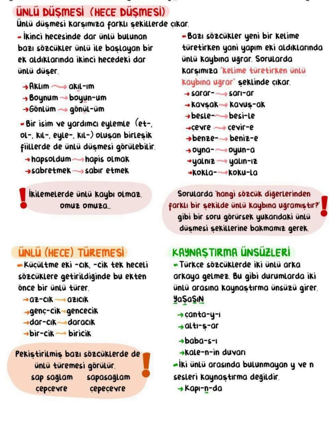 # SES BİLGİSİ
| | DÜZ | YUVARLAK | | |
| :---- | :----- | :------- | :---- | :------ |
| | Geniş | Dar | Gen
