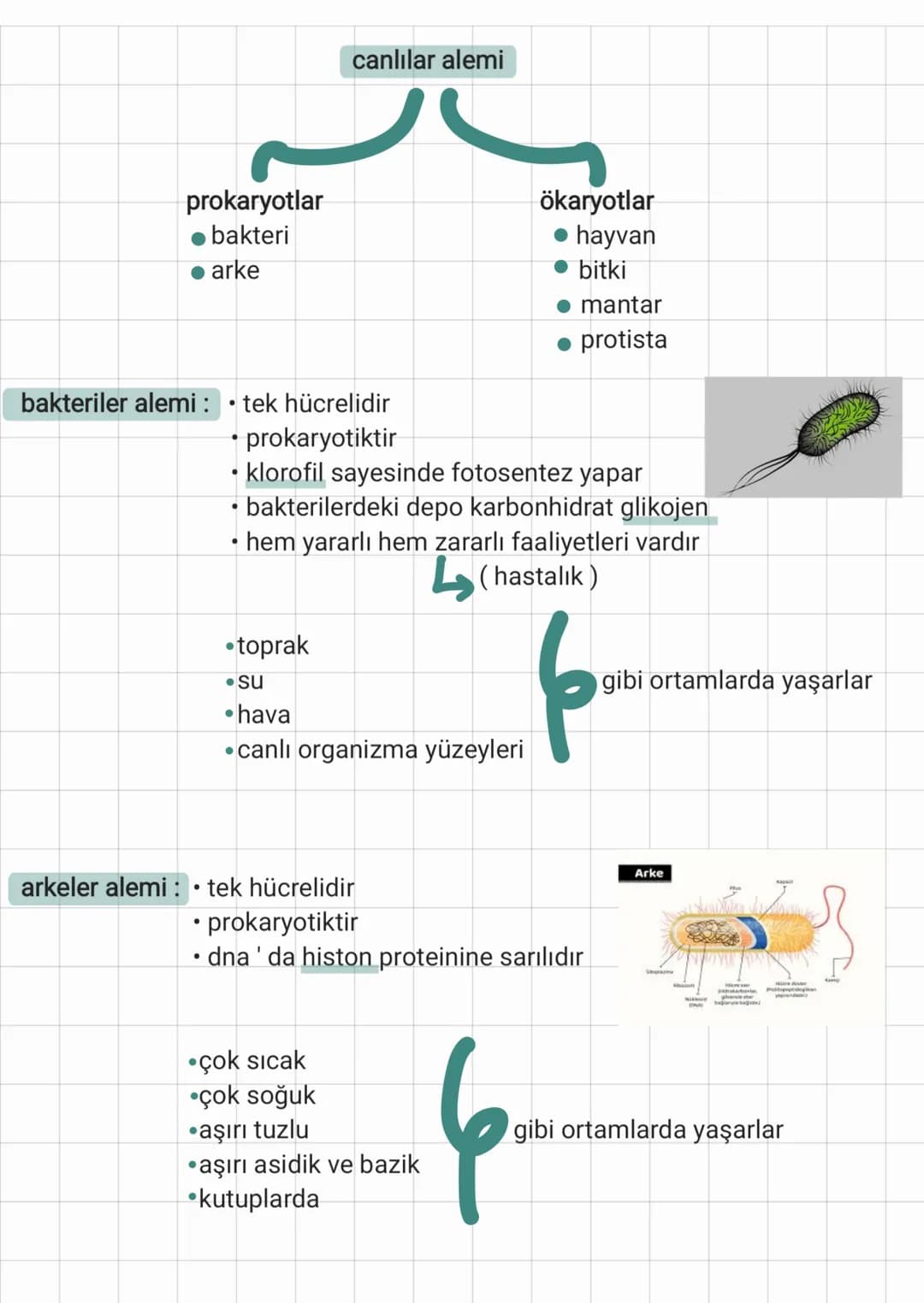 # biyoloji
1. ünite (yaşam)
biyoloji: canlıların yapılarını ve işlevlerini inceleyen bilim dalı.
bilim: evrendeki olayların ve merak edil