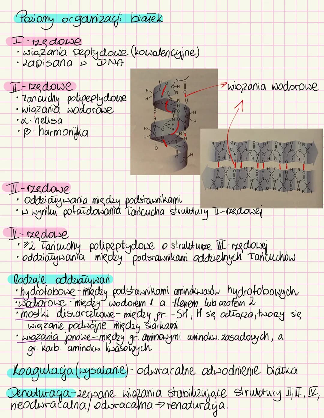 # Chemizm życia
~Skiad chemiczny organizmów~
Mikroelementy < Opil. suchej masy
• Żelazo-białka i ens enbymy, hemoglobina
• Jod- hormony