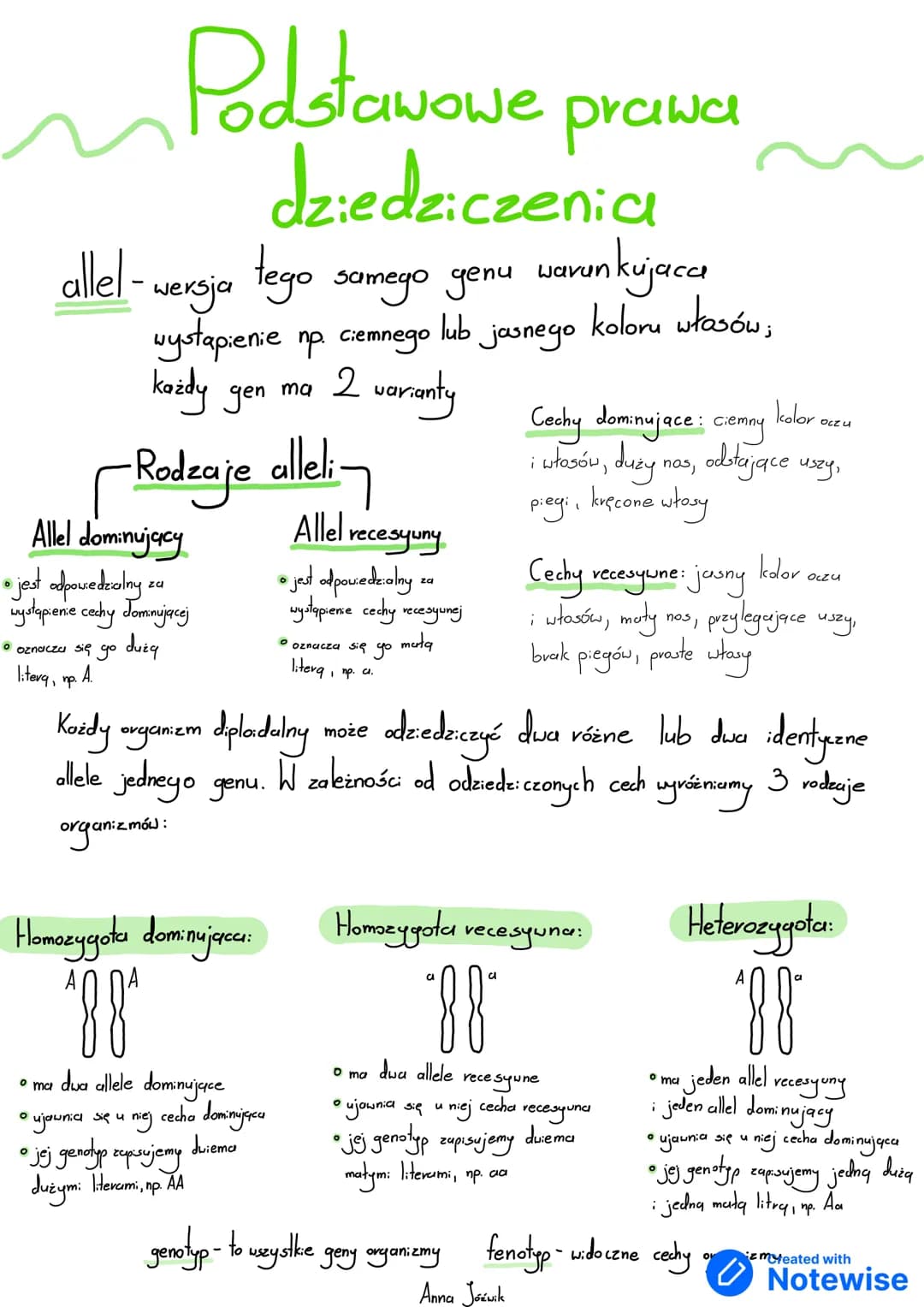 # Podstawowe prawa
dziedziczenia
allel-wersja tego samego yenu warunkujacce
wystąpienie np. ciemnego lub jasnego koloru włosów;
każdy gen m