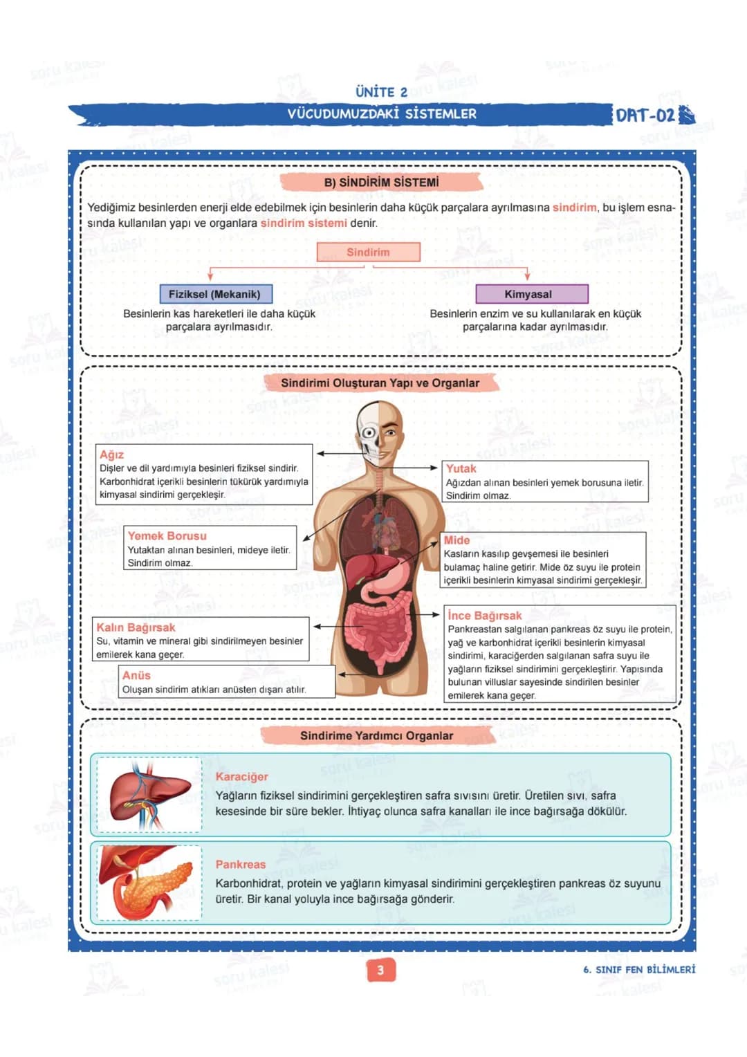 # 6
SINIF
# FEN BİLİMLERİ
## ÜNİTE 2: VÜCUDUMUZDAKİ SİSTEMLER
# KAZANIMLAR:
- F.6.2.1.1. Destek ve hareket sistemine ait yapıları örneklerl