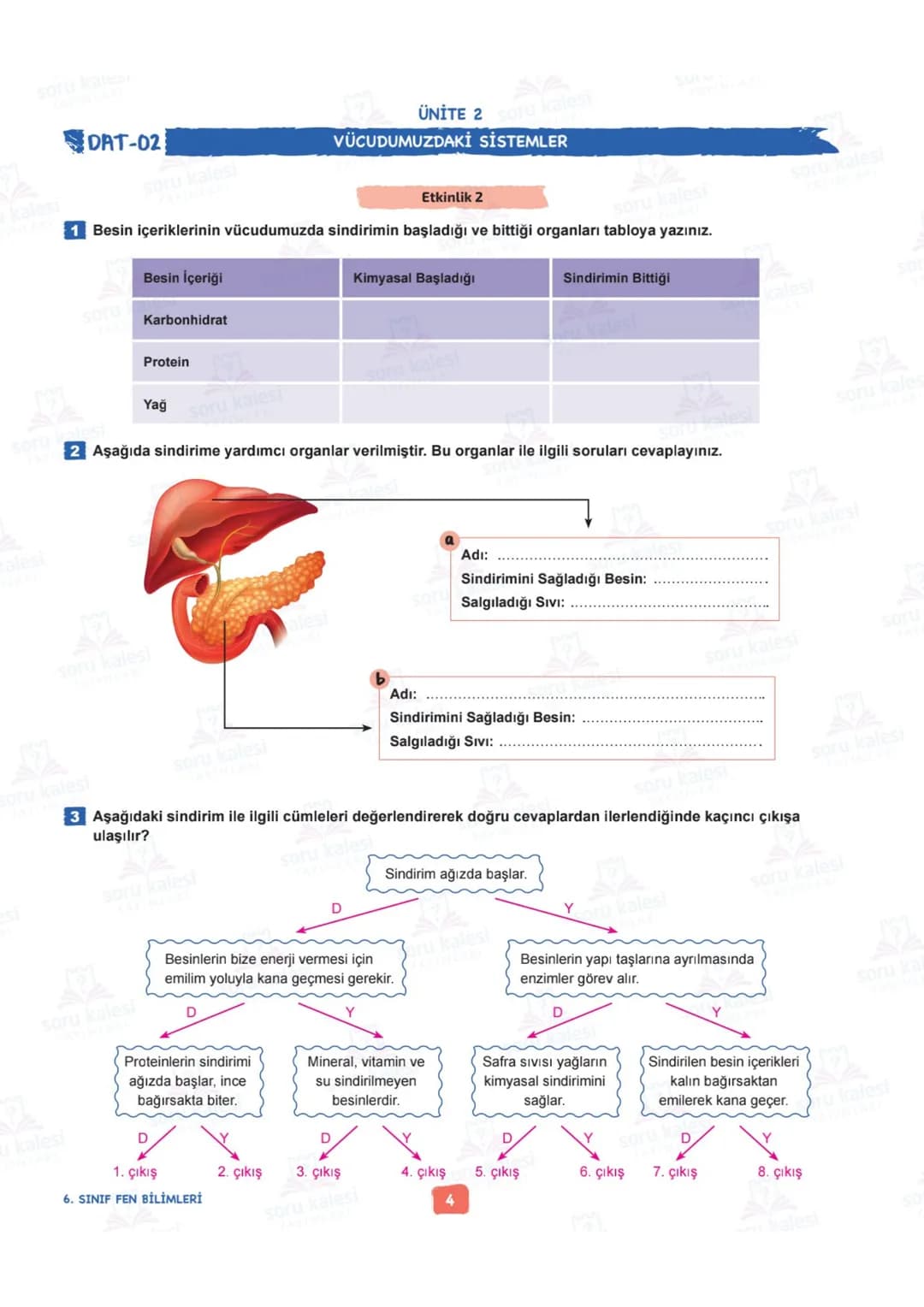 # 6
SINIF
# FEN BİLİMLERİ
## ÜNİTE 2: VÜCUDUMUZDAKİ SİSTEMLER
# KAZANIMLAR:
- F.6.2.1.1. Destek ve hareket sistemine ait yapıları örneklerl