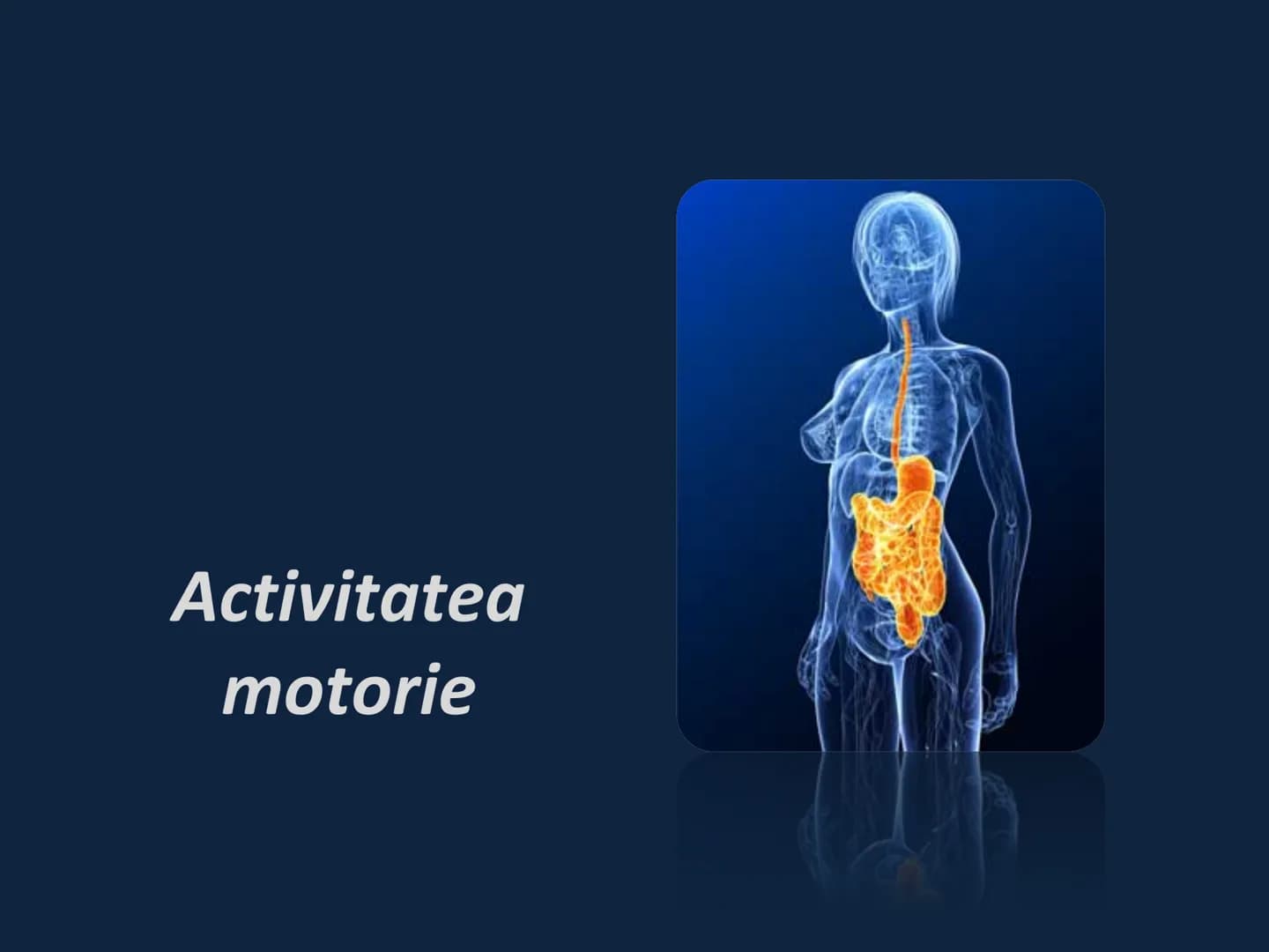 DIGESTIA ŞI ABSORBŢIA Generalități
• Sistemul digestiv = organe la
nivelul căruia se realizează:
☐ digestia alimentelor
☐ transformarea în p