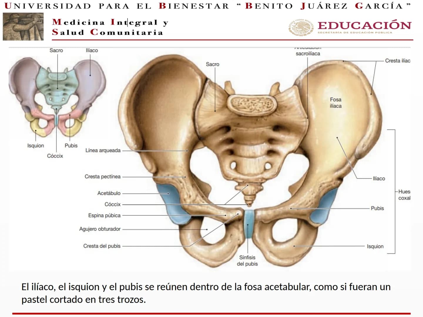 UNIVERSIDAD PARA EL BIENESTAR “BENITO JUÁREZ GARCÍA”
Medicina Integral y
Salud Comunitaria
EDUCACIÓN
SECRETARÍA DE EDUCACIÓN PÚBLICA
Cint