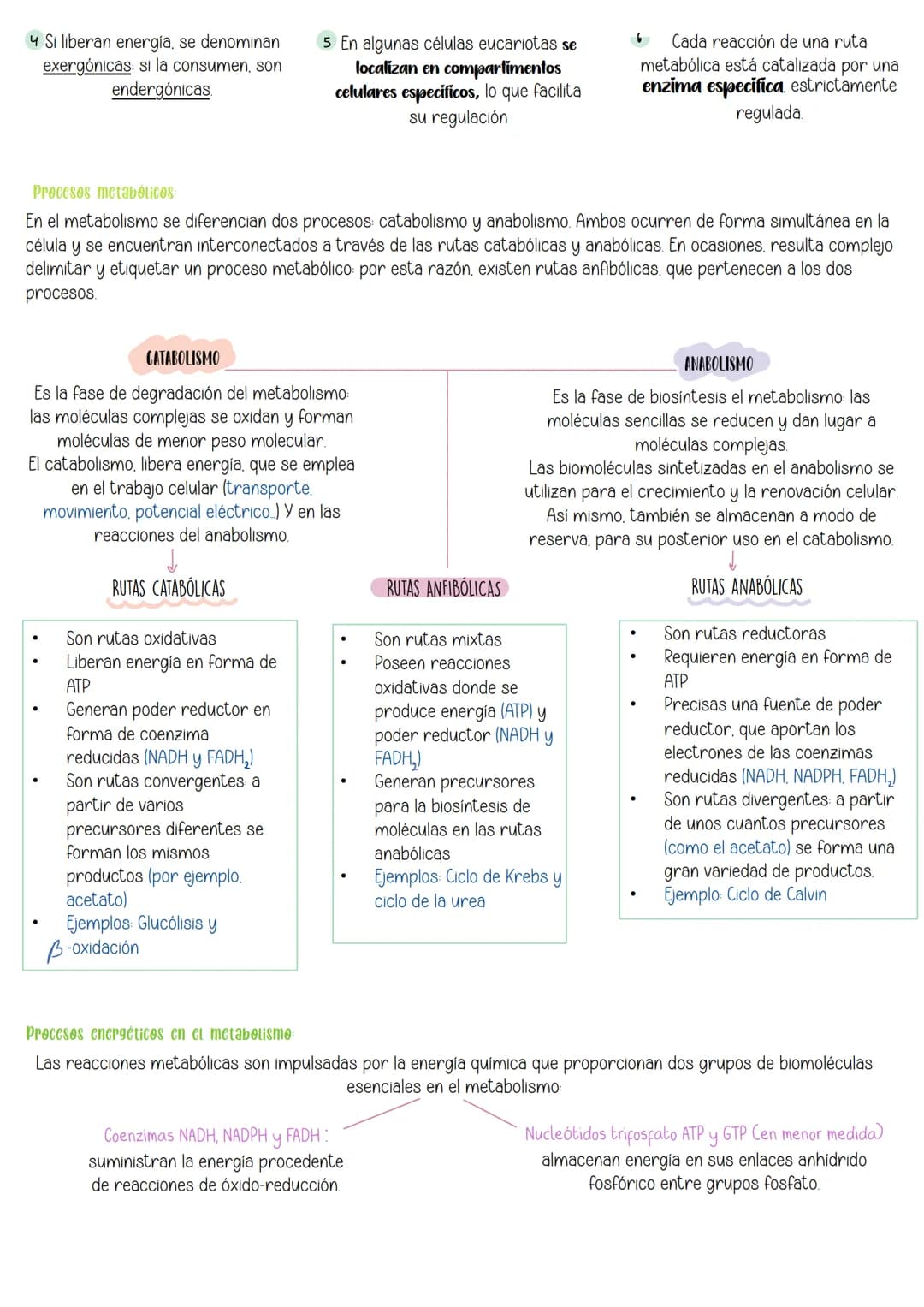Tema 10:
Metabolismo:
Catabolismo
İndice:
1 Nutrición celular y metabolismo
2. Catabolismo
3 Catabolismo de los glúcidos
3.1 Catabolis