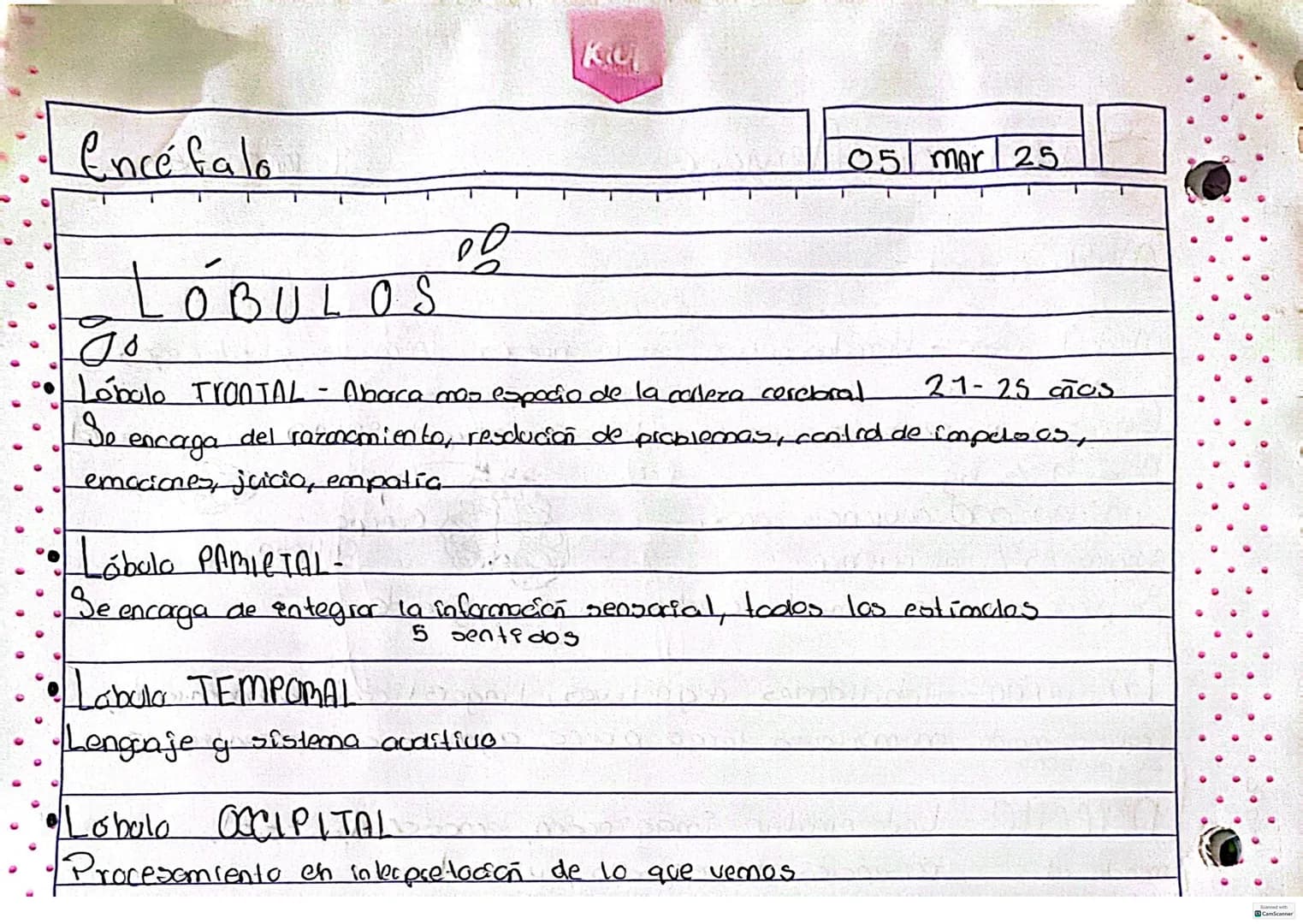 # SISTEMA Nervioso
00
Percibe ealimulos, procesarlos y responder ante ellos.
Celula principal del sistema nervioso son las neuronas
neur