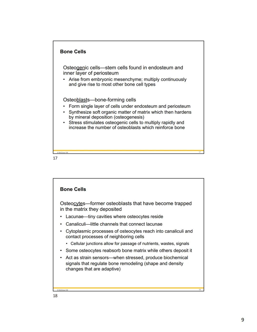 1
2
Mc
Graw
Hill
Because learning changes everything."
Chapter 7
Bone Tissue
ANATOMY & PHYSIOLOGY
The Unity of Form and Function
NINTH ED