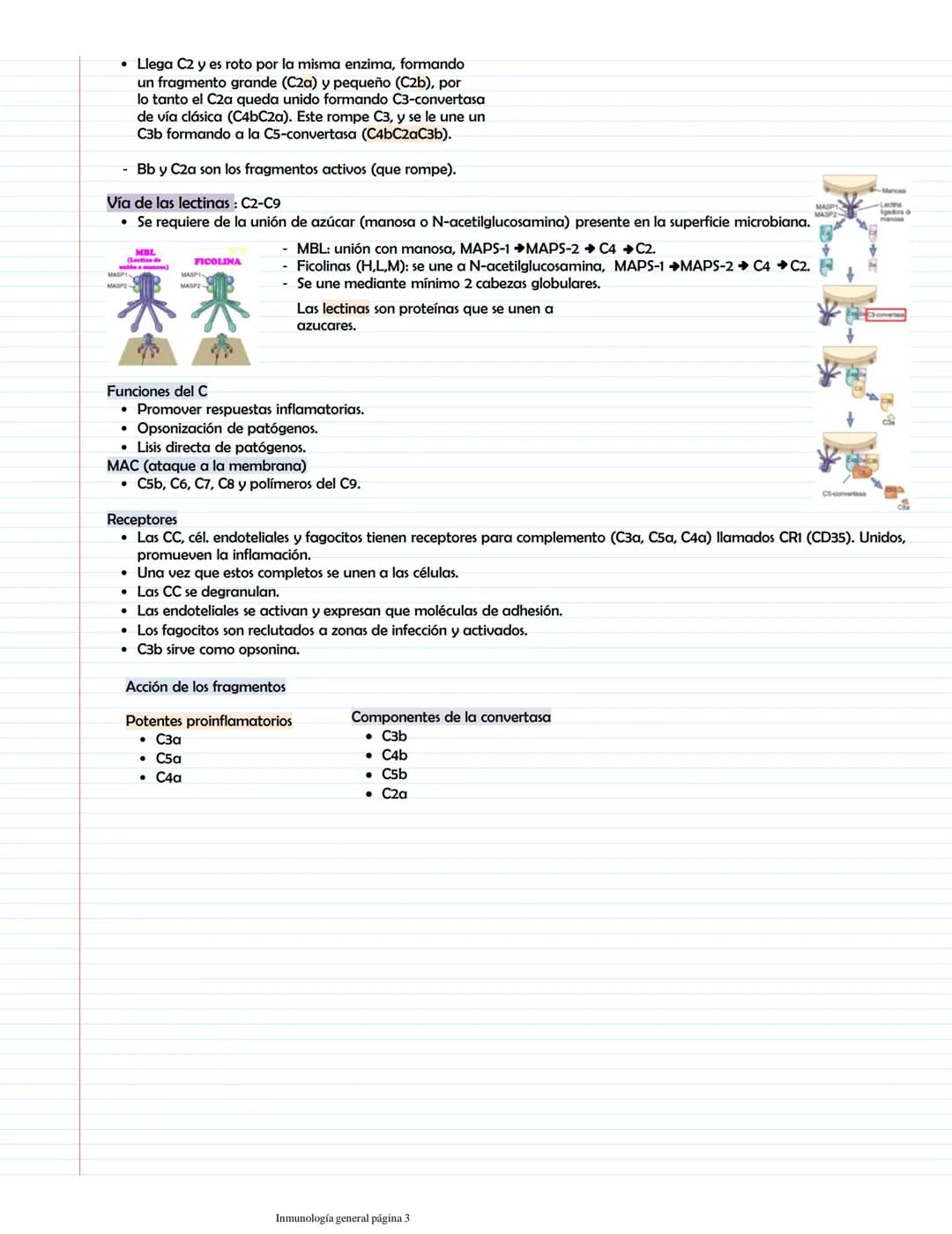 # Características generales de la II, PAMPs y PRRS
Inmunidad innata
Participantes:
Primera línea
Inmunidad innata
Barreras naturales
M