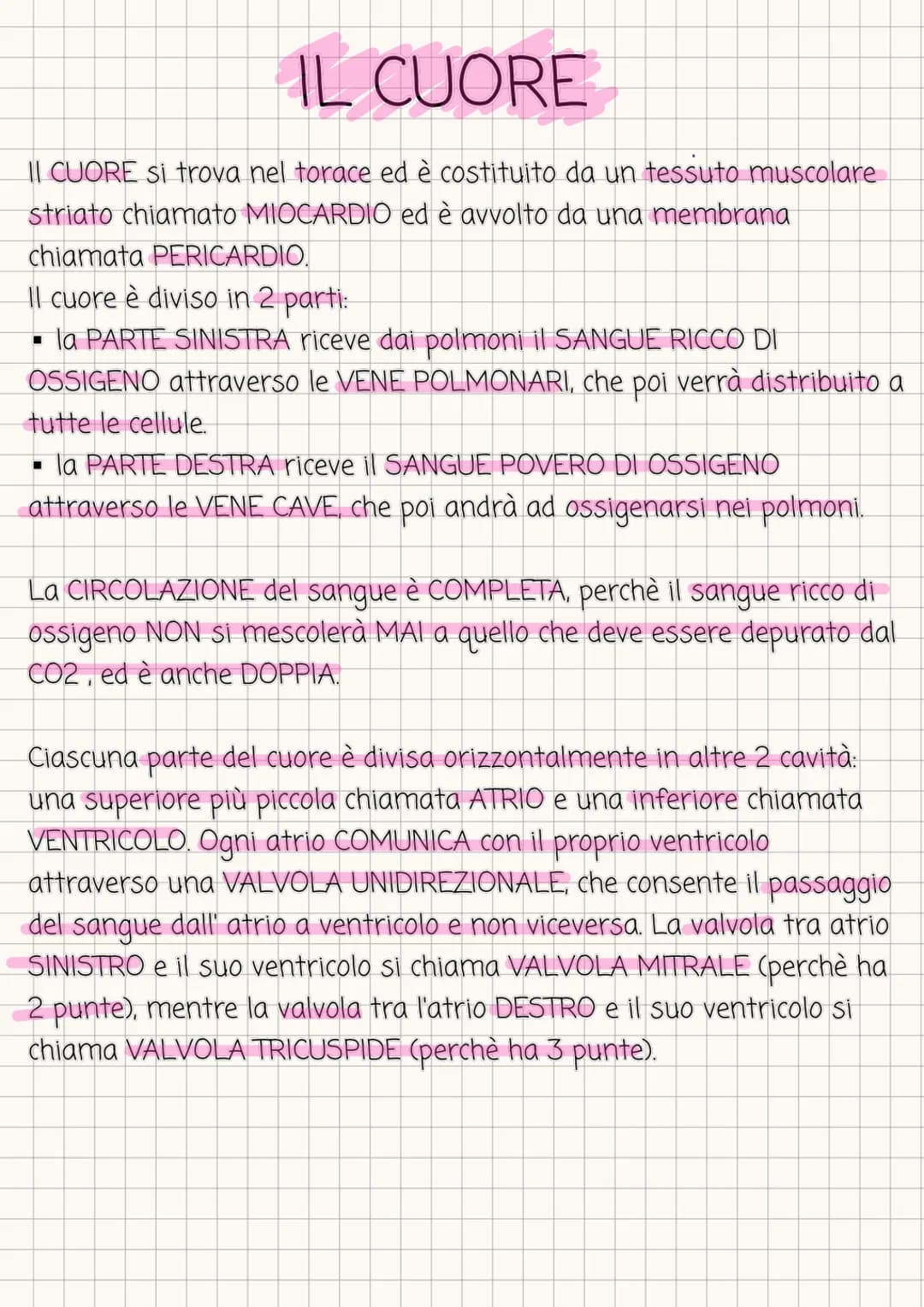 # IL CUORE
II CUORE si trova nel torace ed è costituito da un tessuto muscolare
striato chiamato MIOCARDIO ed è avvolto da una membrana
chi