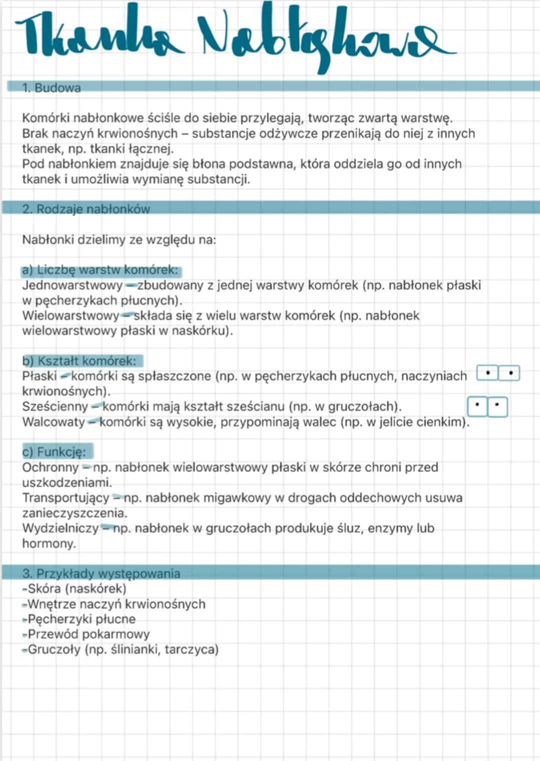 # Thanha Nablighawa
1. Budowa
Komórki nabłonkowe ściśle do siebie przylegają, tworząc zwartą warstwę.
Brak naczyń krwionośnych - substancj